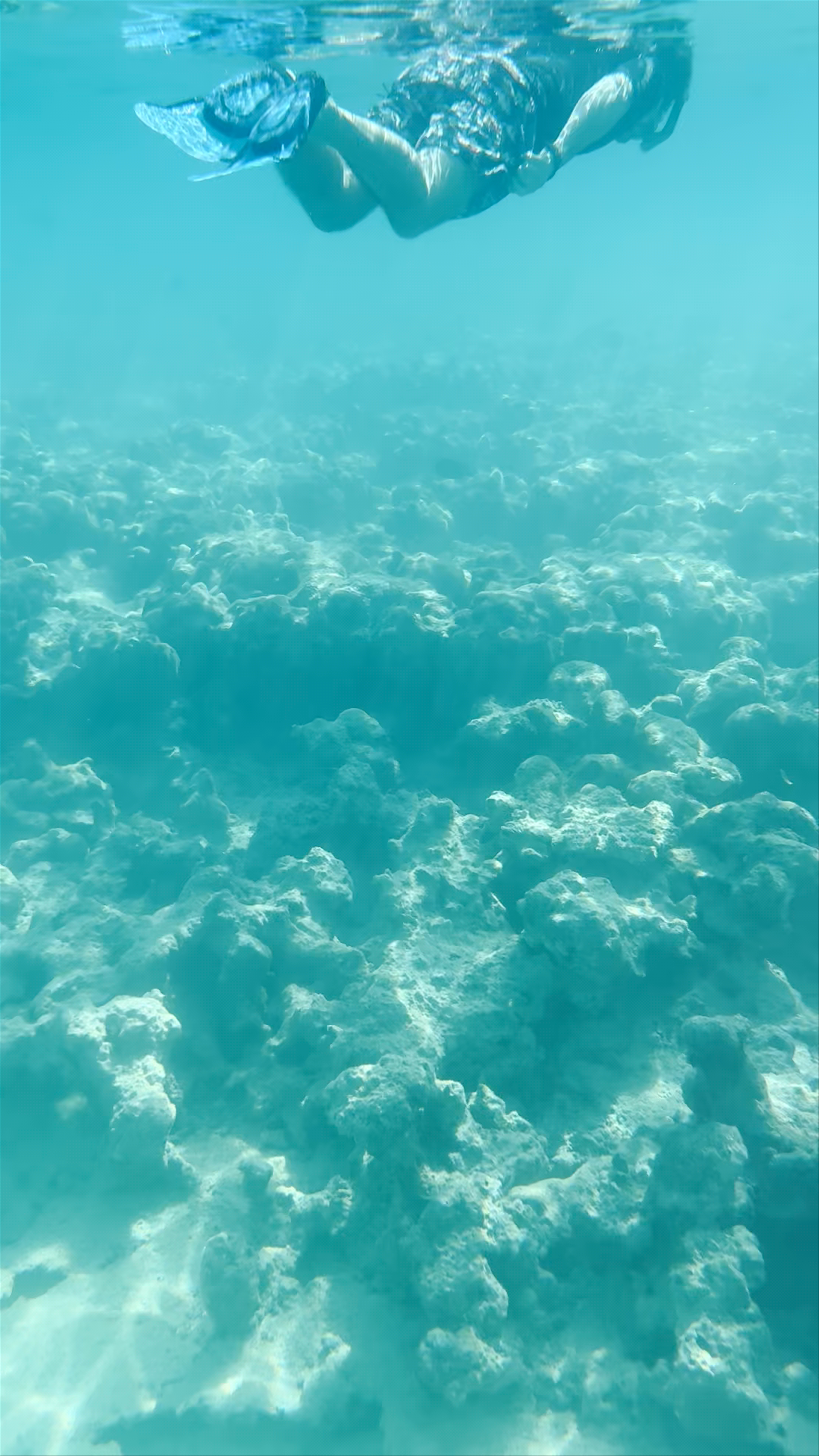 Underwater Exploration at Faraana Reef Beach, Egypt
