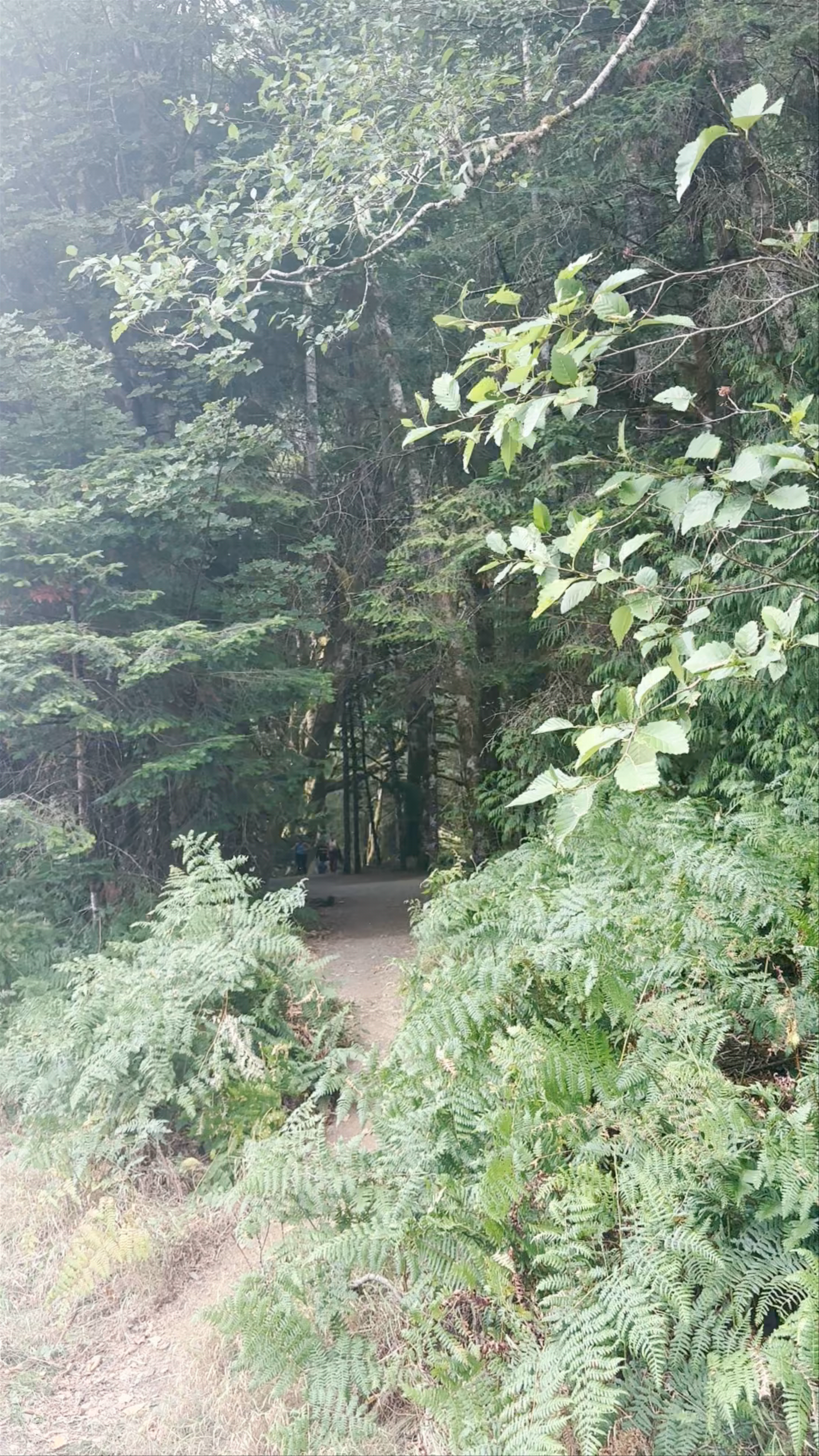 Olympic National Park