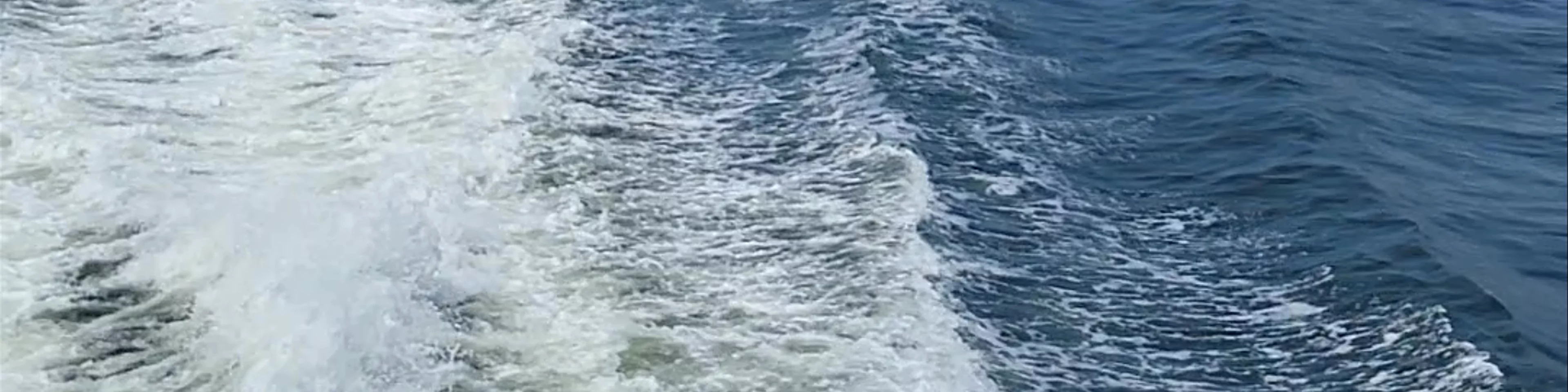 Rockaway ferry