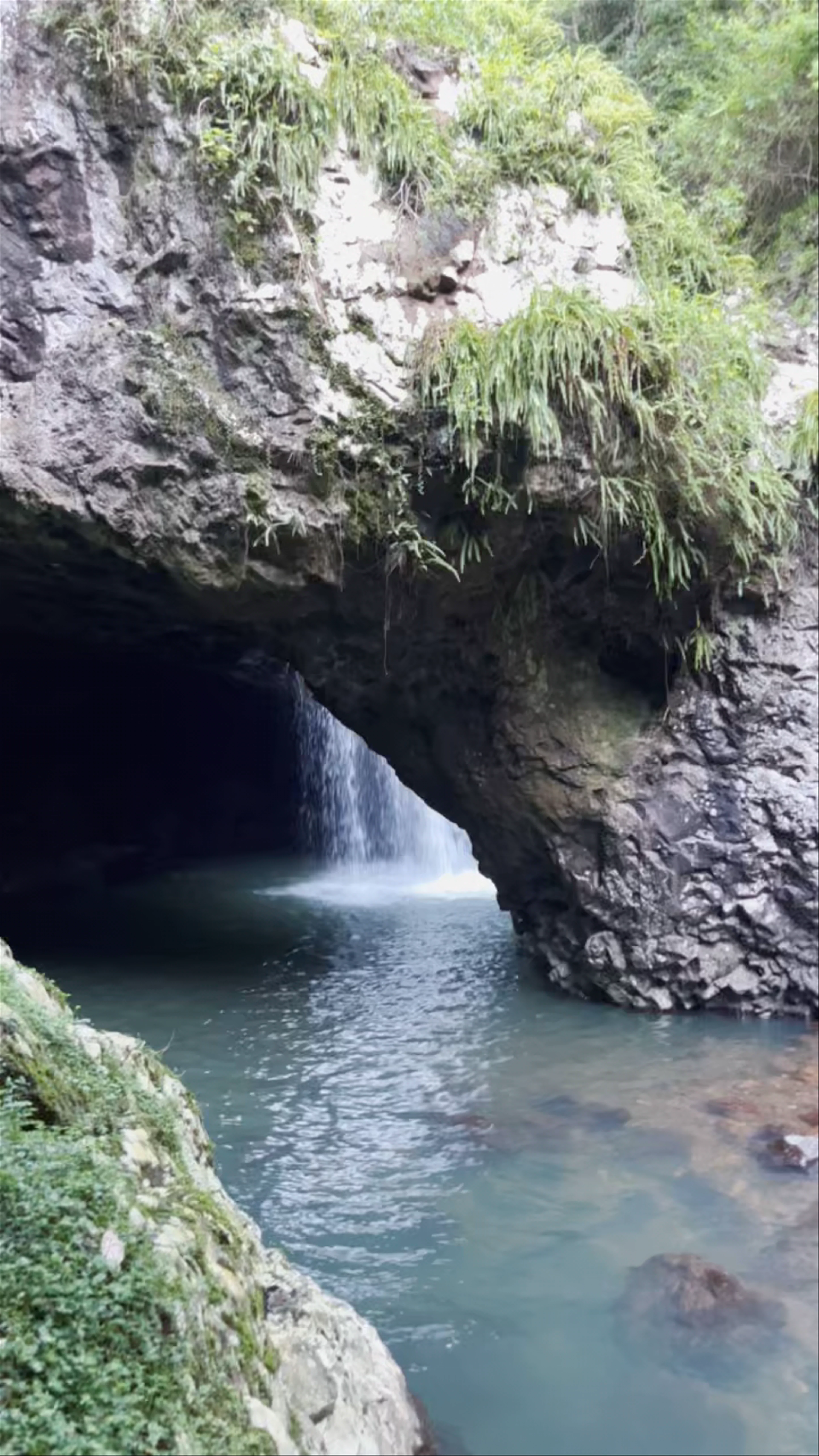 Natural Bridge, Newnes Plateau