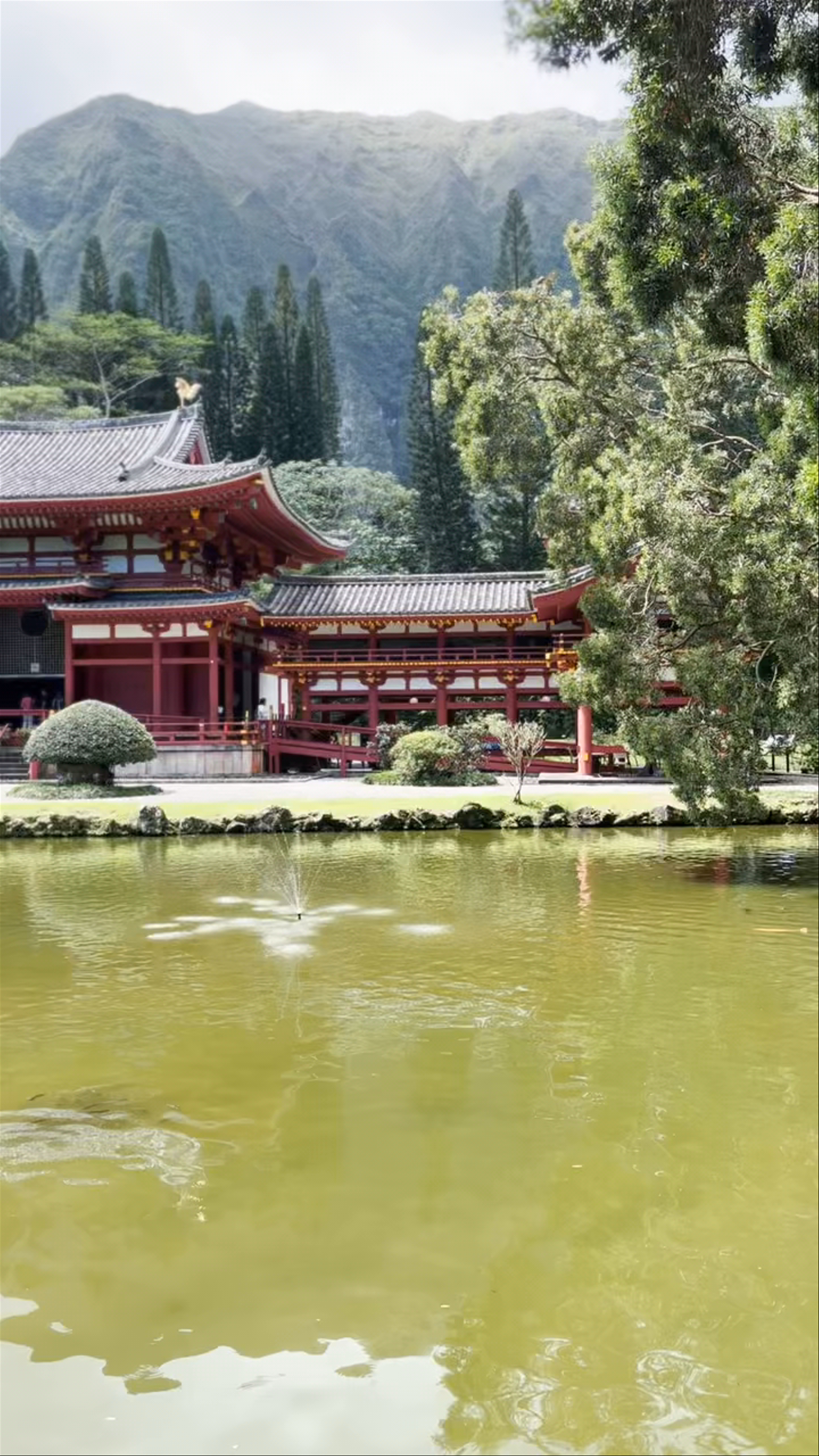 Byodo-In Temple: Serene Japanese Elegance in Kaneohe, Hawaii