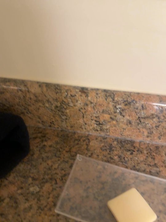 Best Western Plus Island Palms Hotel & Marina - Roaches crawling around even found one on the beds - San Diego, CA