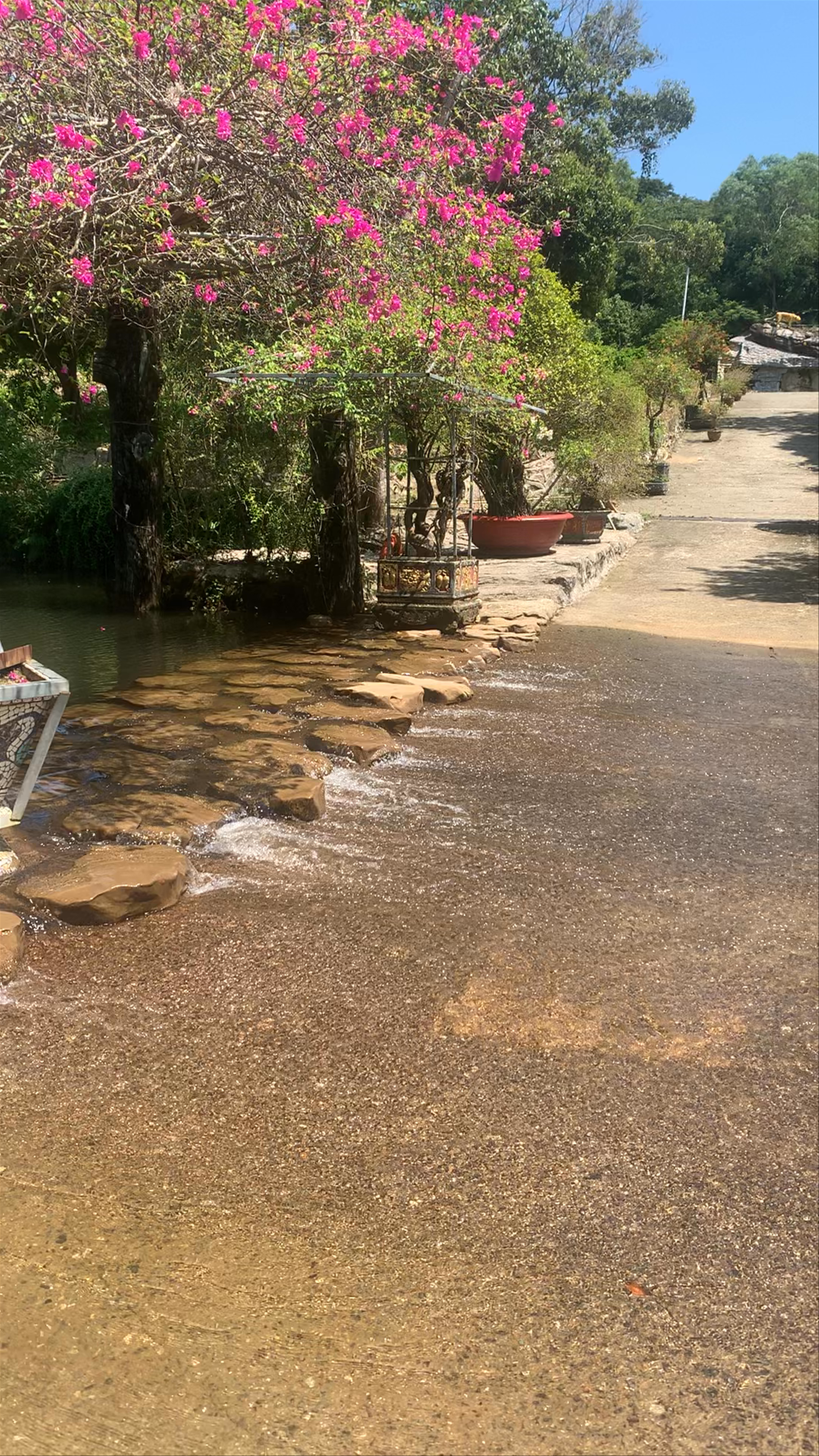 Suoi Tranh Waterfall