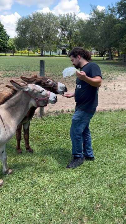 Redland Equestrian Center - Feeding the donkeys - Horseback Riding Near Me - Naranja, Florida