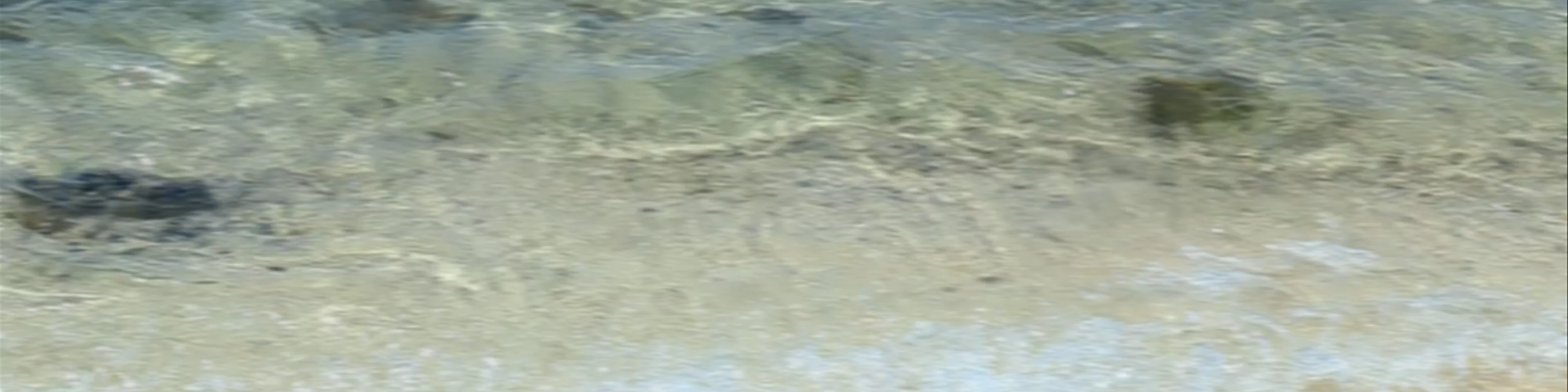Tikioki Beach