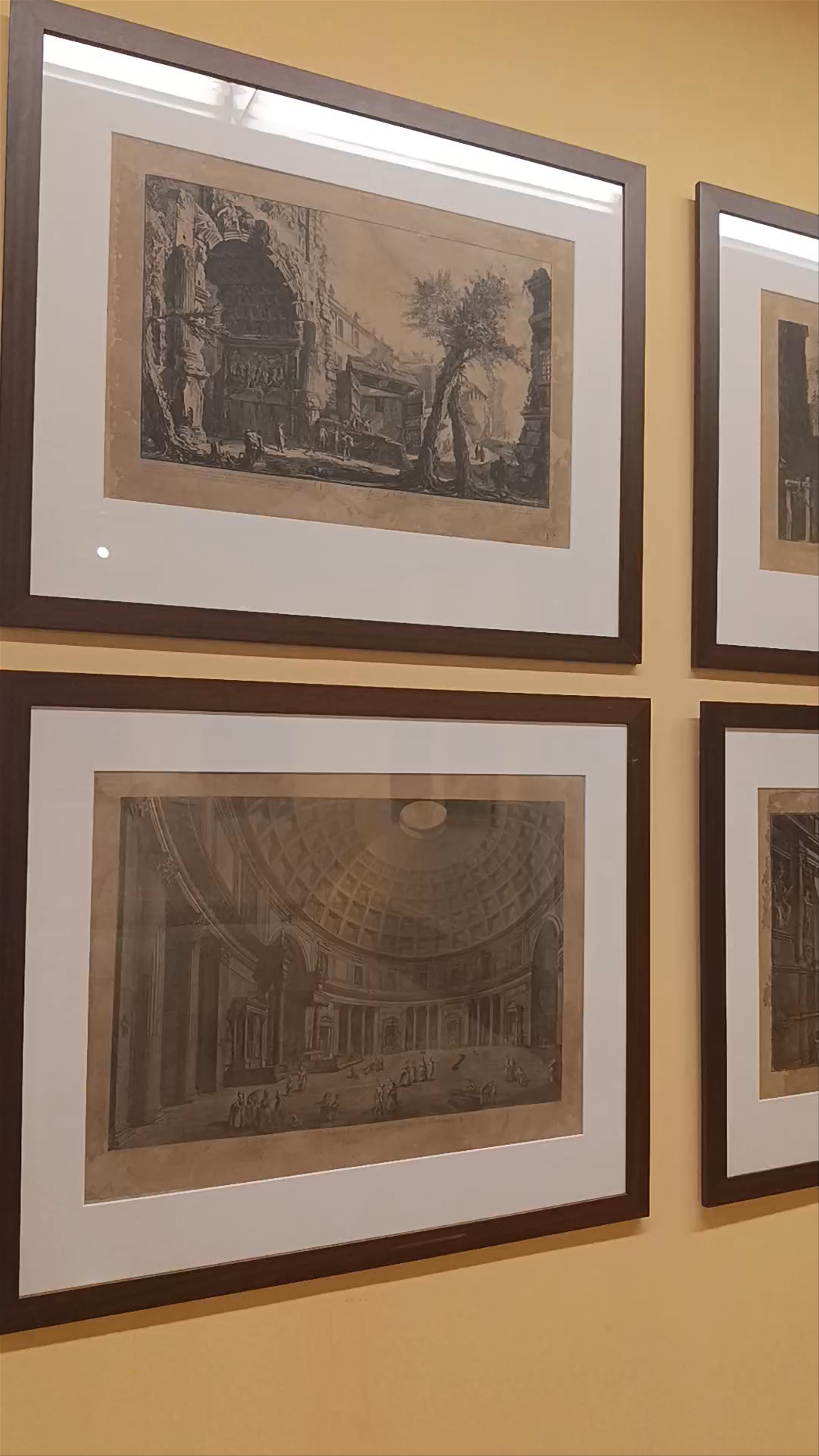 Museo de Bellas Artes de Murcia
