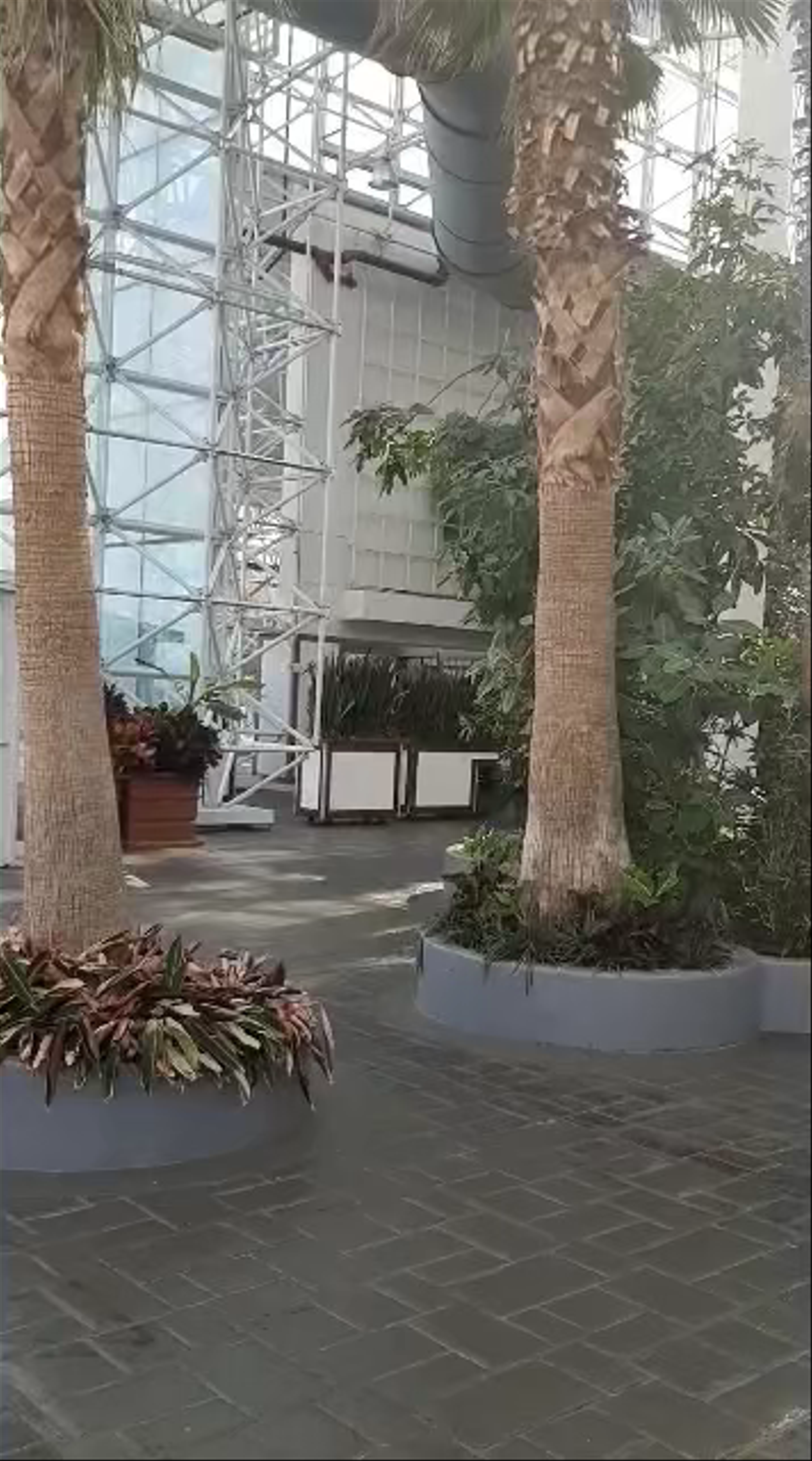 The Crystal Gardens