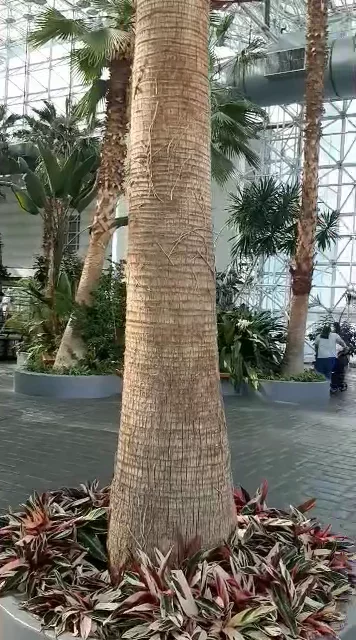 The Crystal Gardens