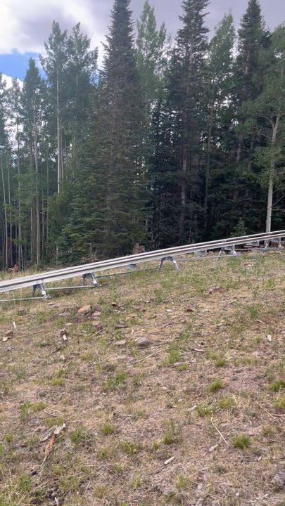 Sunrise Park Resort - My son on the coaster - Ski Resorts Near Me - Greer, Arizona
