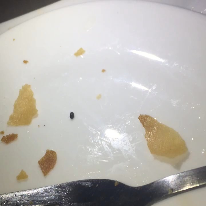 Pho DK - Disgusting place needs to be shut down - Vietnamese Near Me - Dallas, Texas
