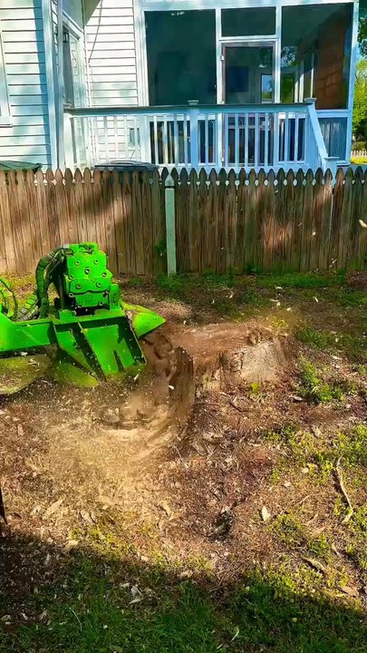 Tree Stump Removal and Excavation - Stump Grinding Preview - Tree Services Near Me - Norfolk, Virginia