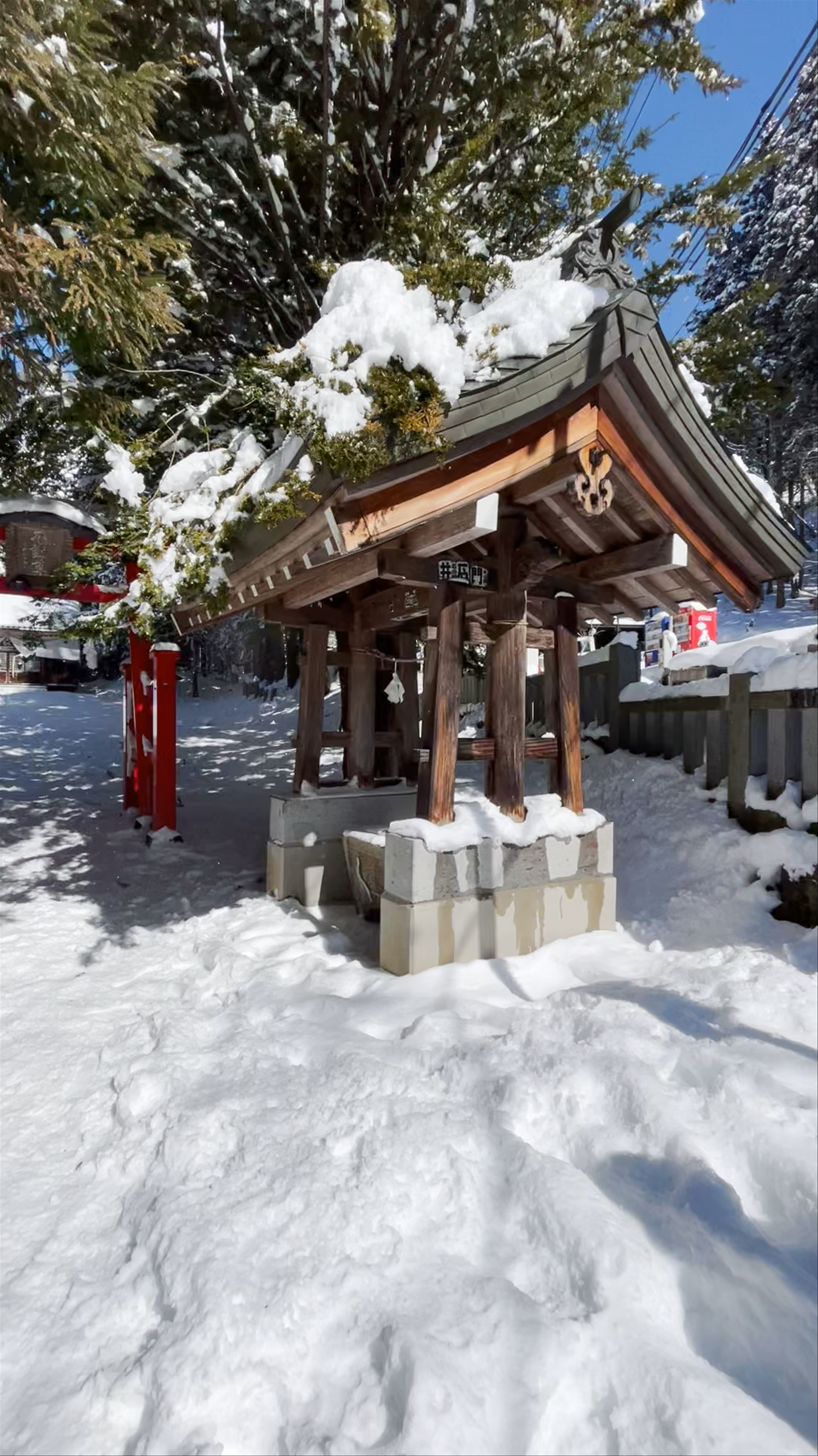 Winter Serenity at Snow Monkey Resorts Info & Gift Shop, Nagano Japan