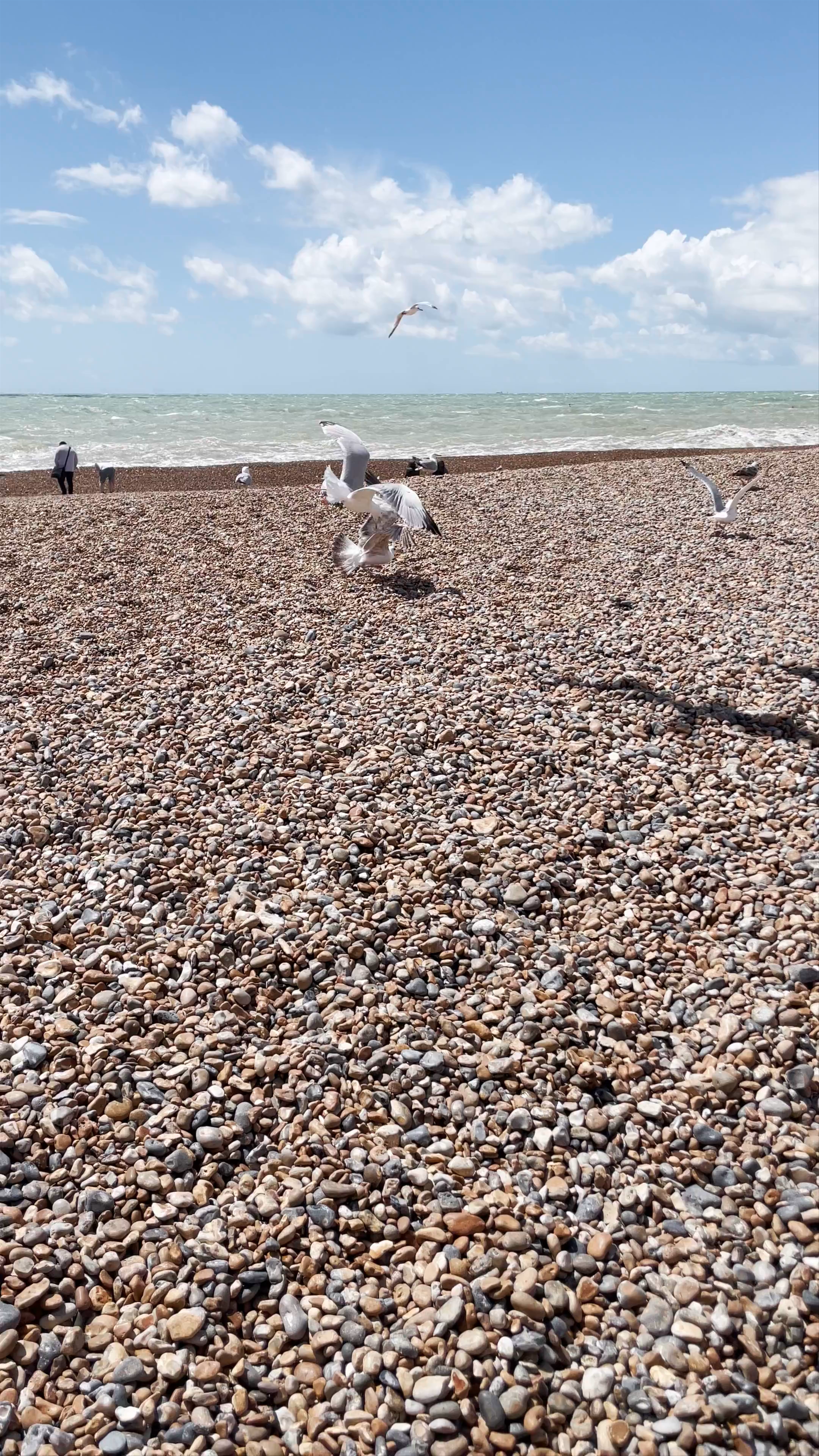 Brighton Seafront Pebble Beach: Windswept Coastal Escape in England