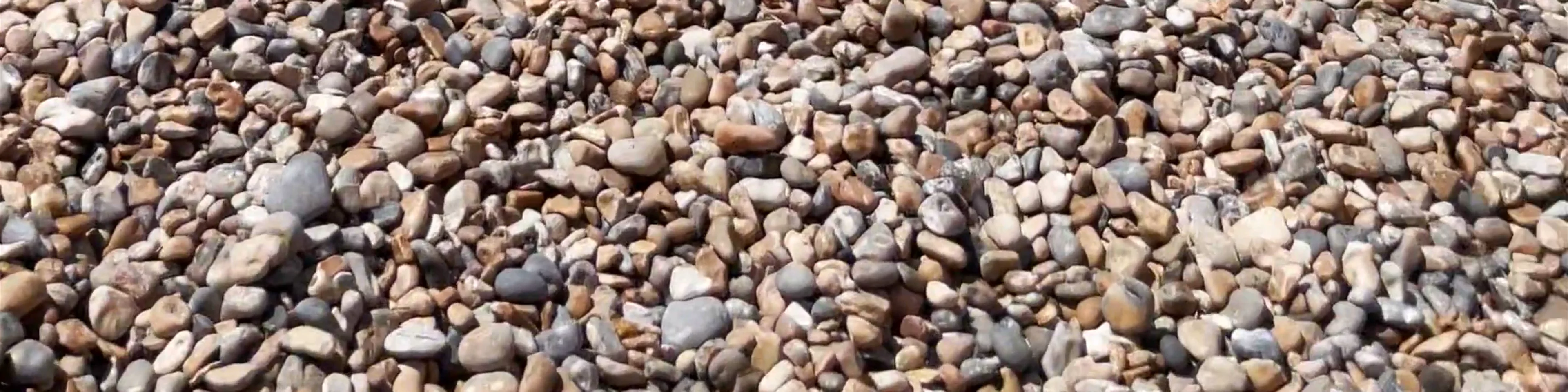 Brighton Seafronts
