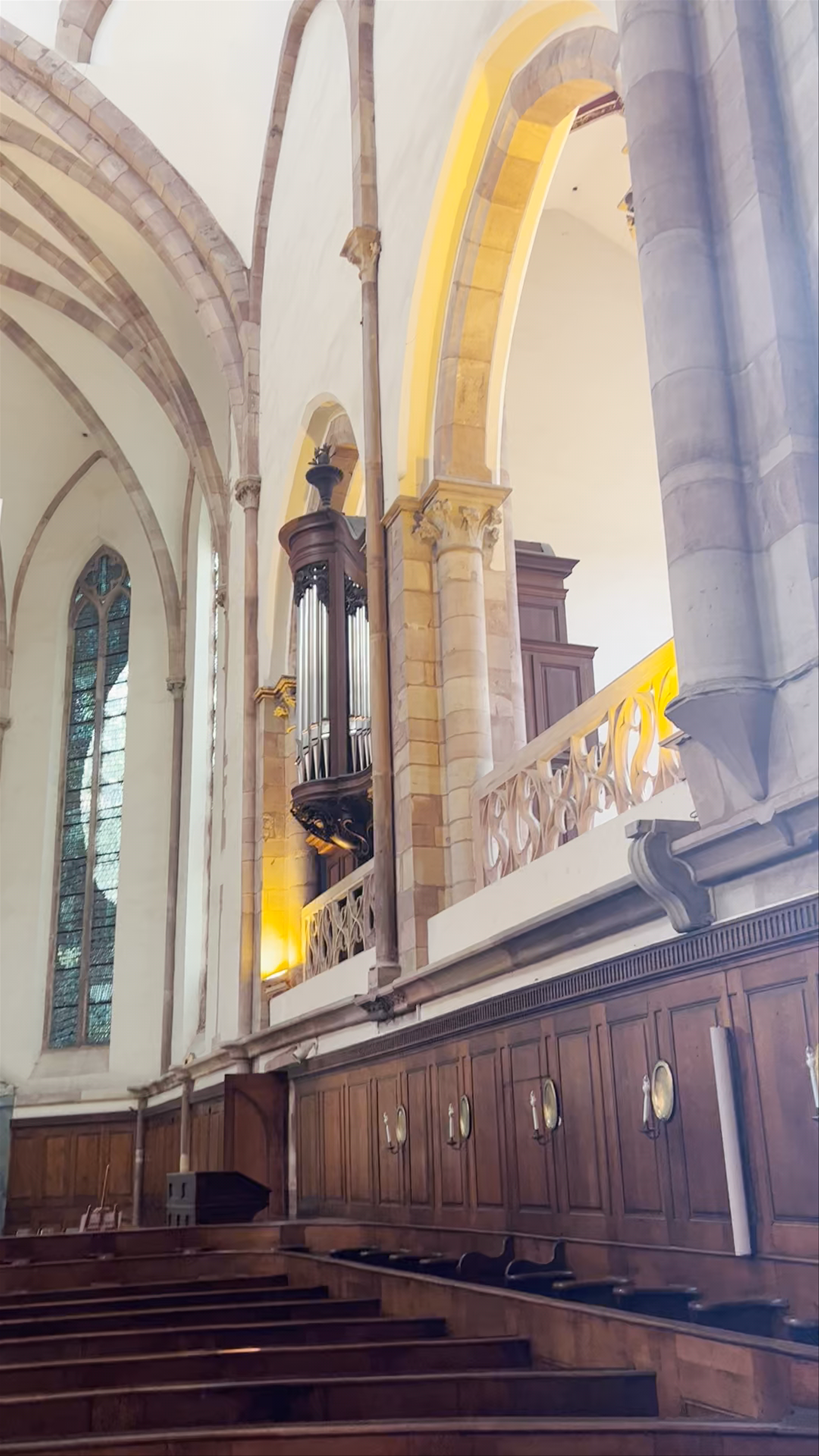 St. Thomas Church: A Tranquil Journey Through Strasbourg’s Sacred Architecture