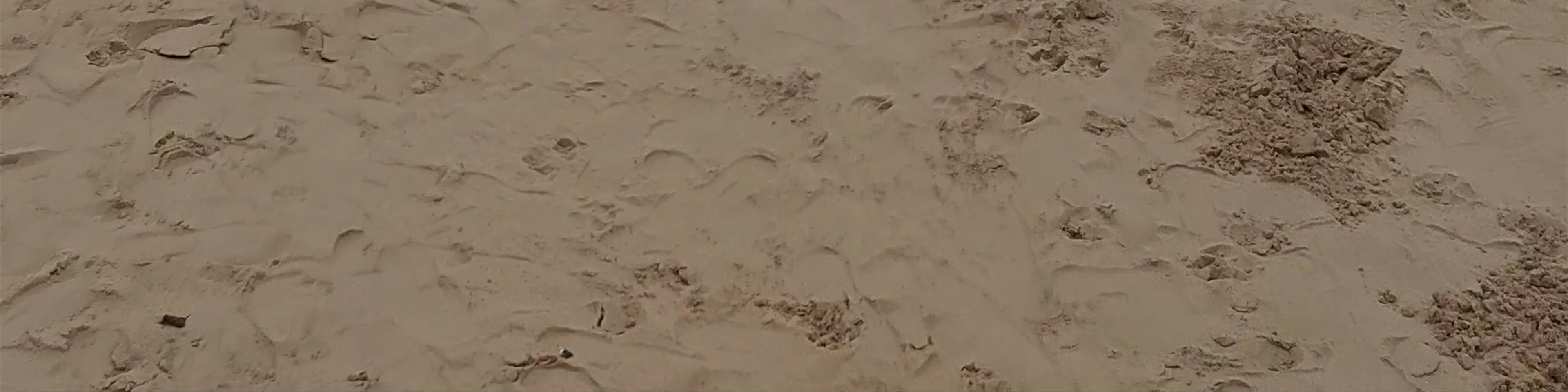 Playas de Sanlúcar de Barrameda
