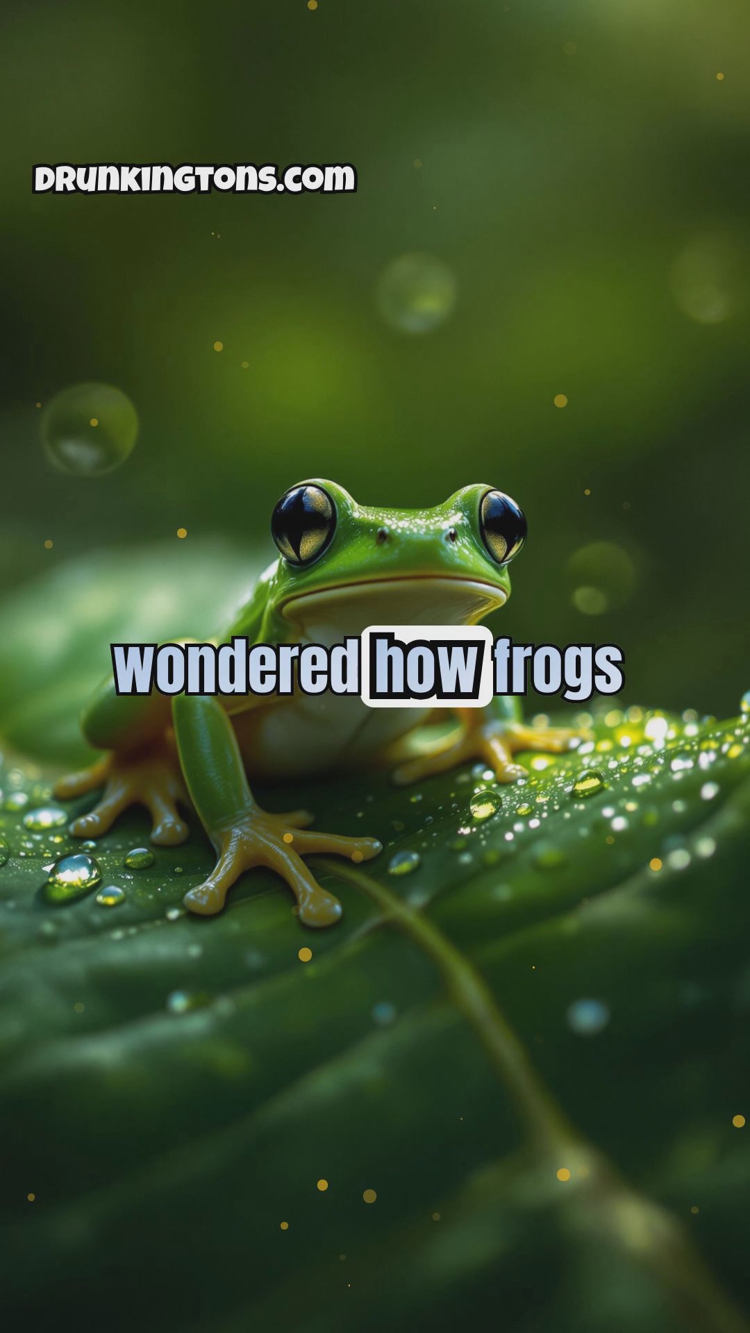 The World of Amphibians: From Frogs to Salamanders