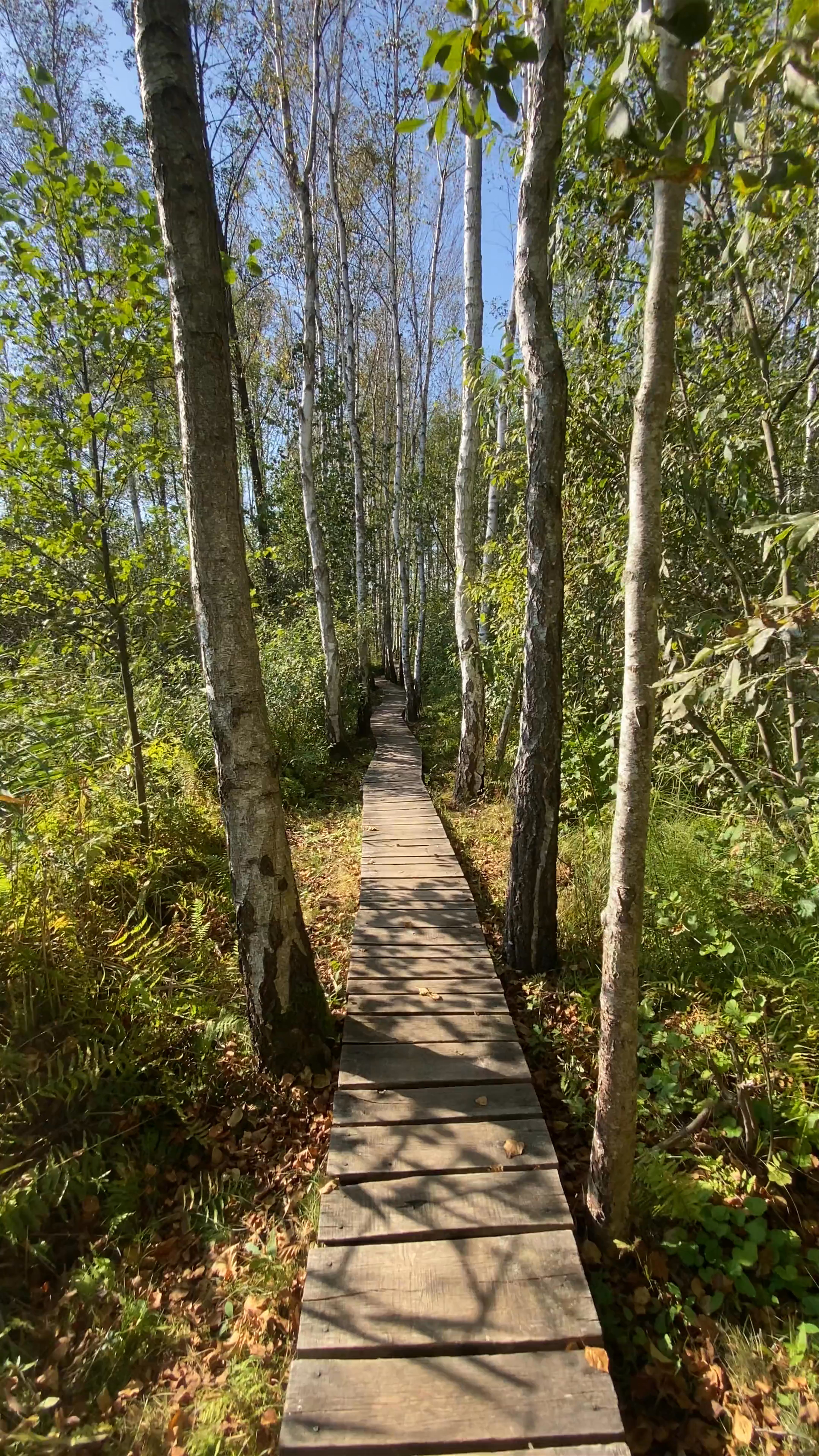 Ścieżka przyrodnicza "Spławy"