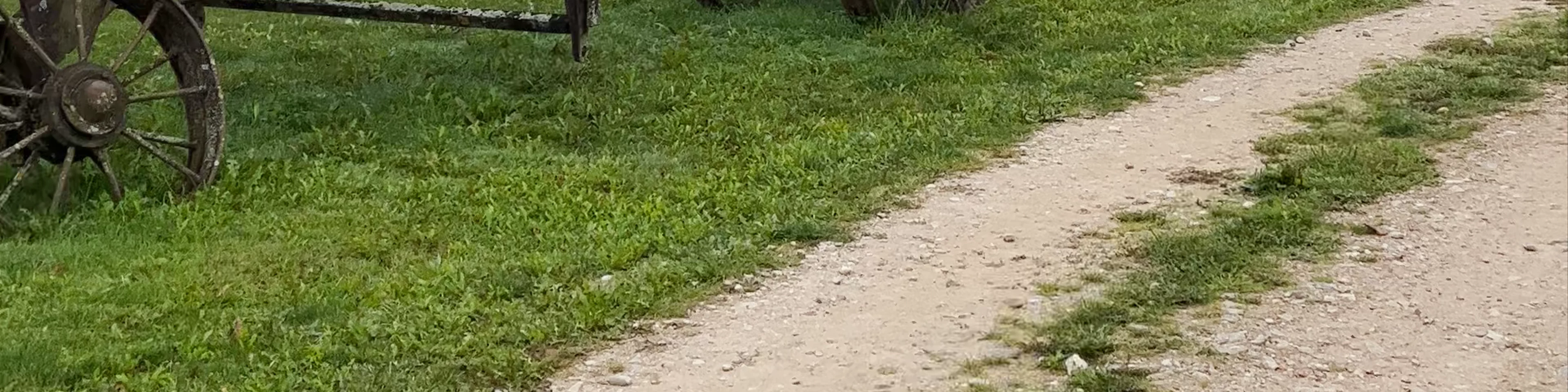 Elnynas