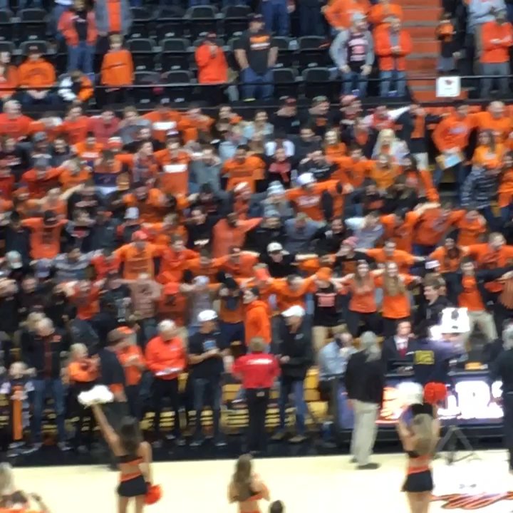 Gill Coliseum - Great buildup to the Civil War!!! Beavs dominated!! - Stadiums & Arenas Near Me - Corvallis, Oregon
