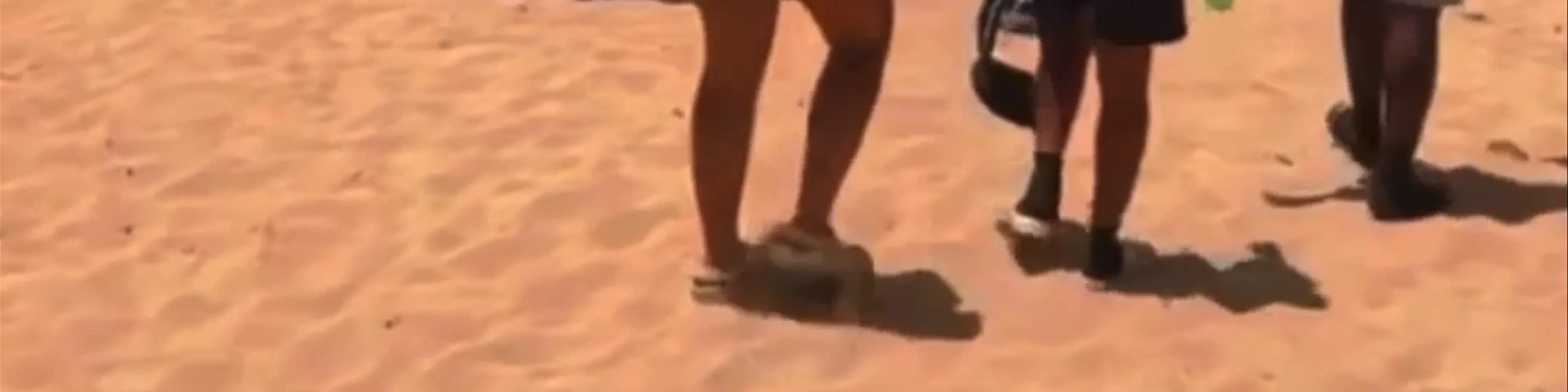 Playa Dorada