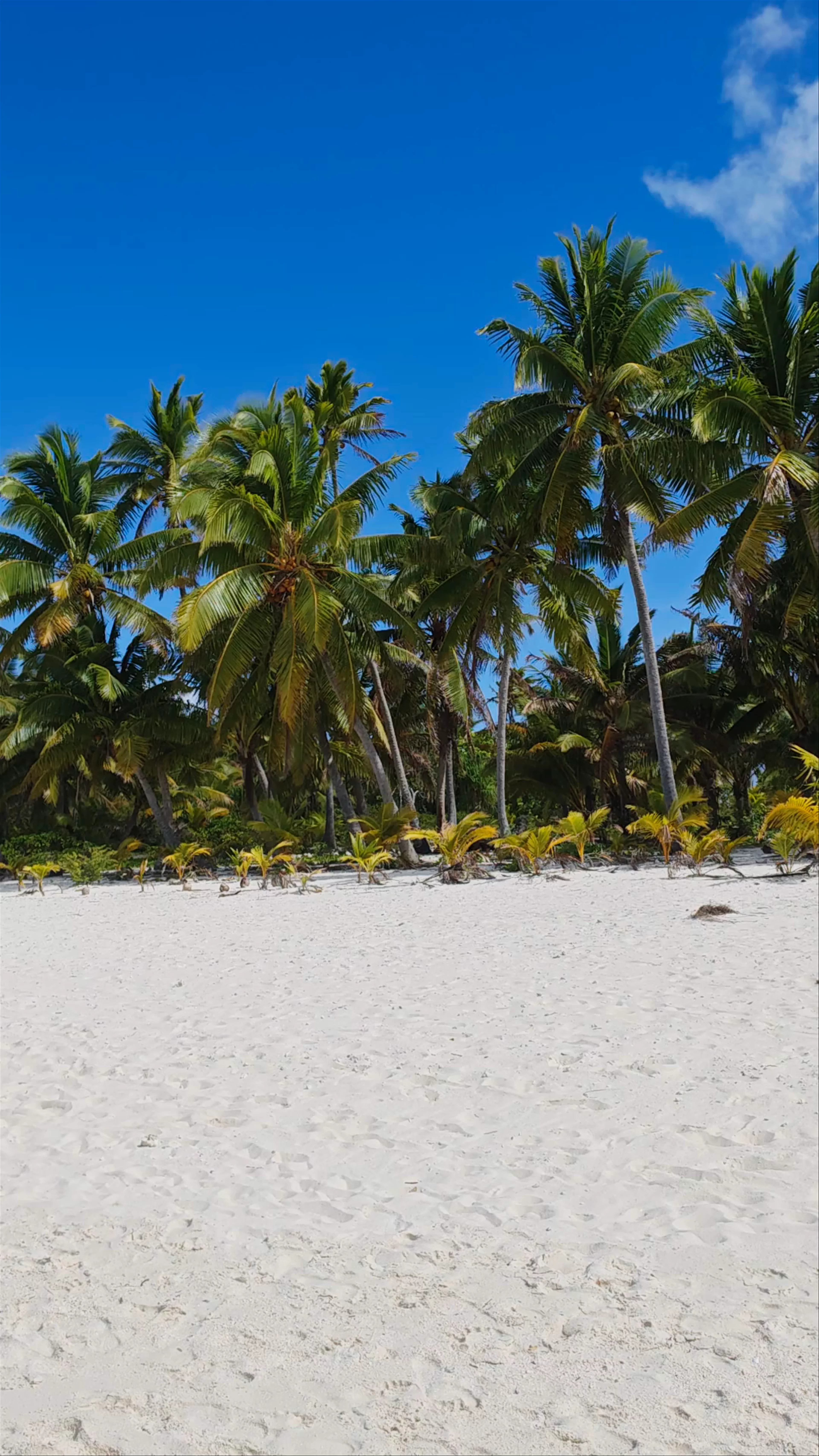 Aitutaki