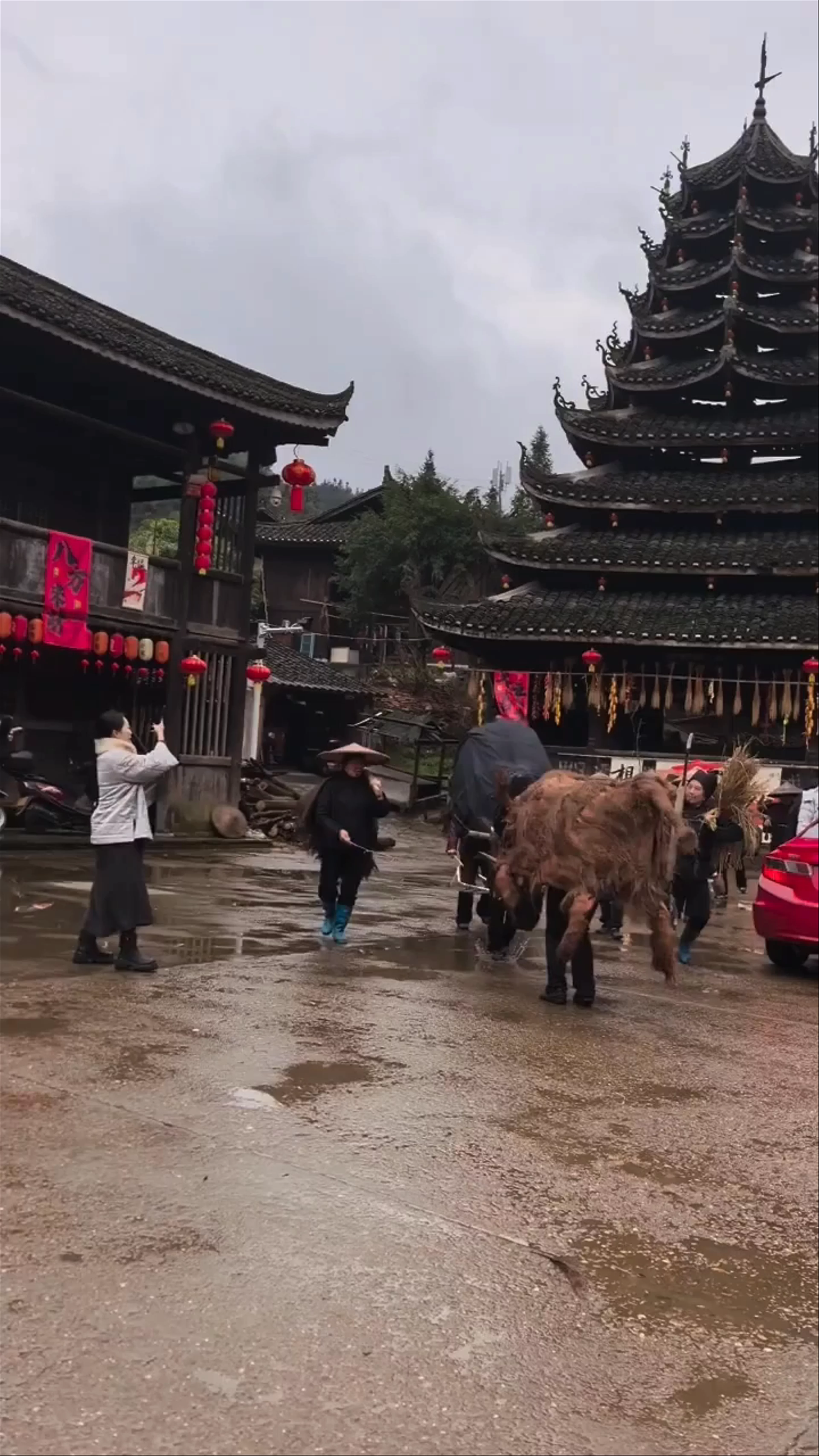 Zhaoxing