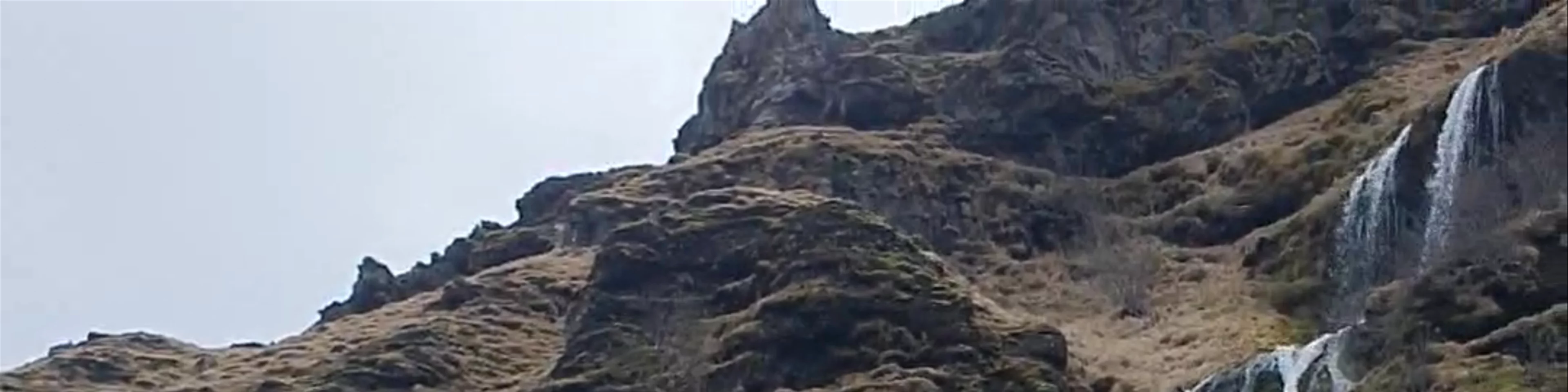 Salerni