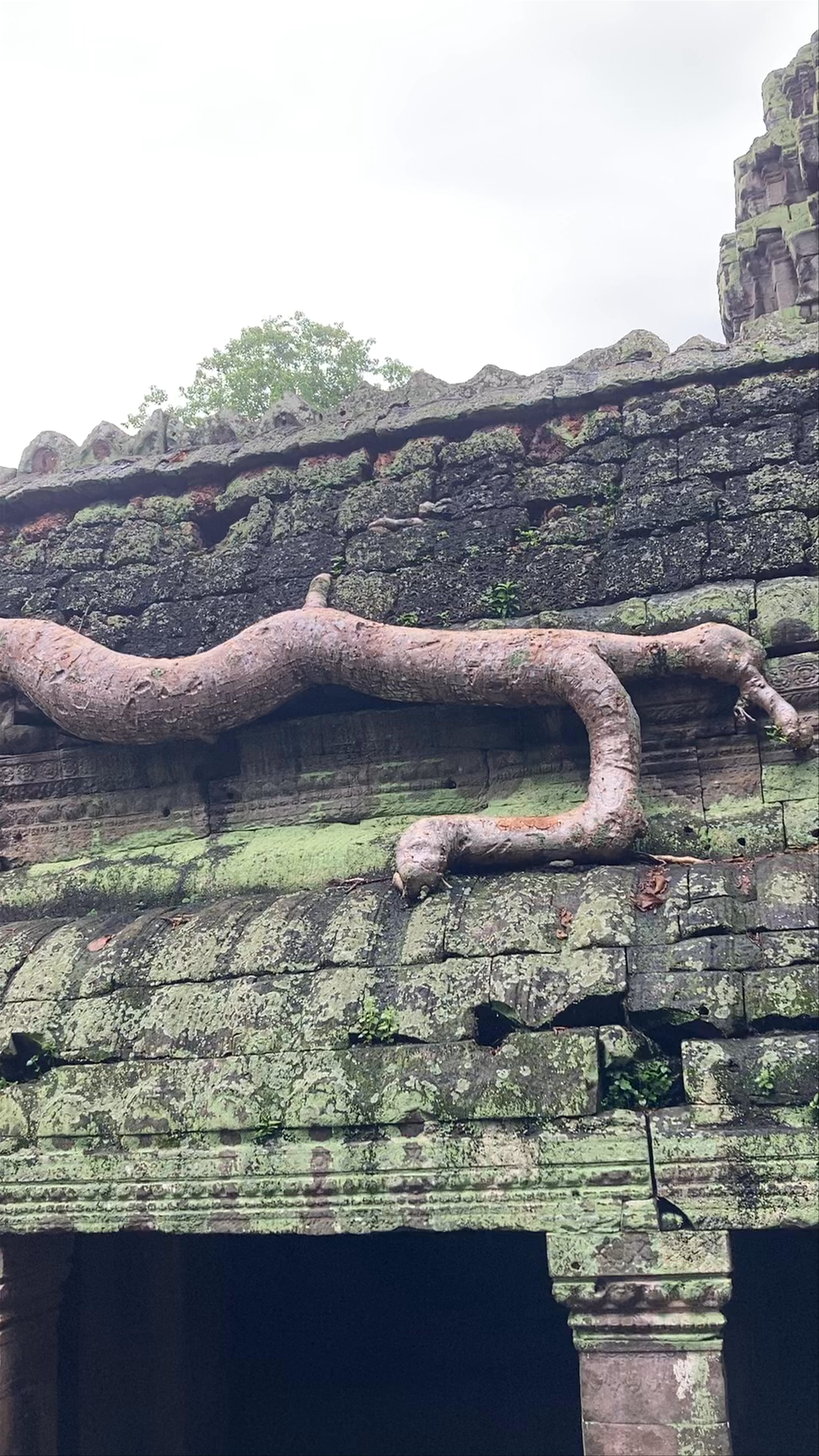 Ta Prohm Kel Temple