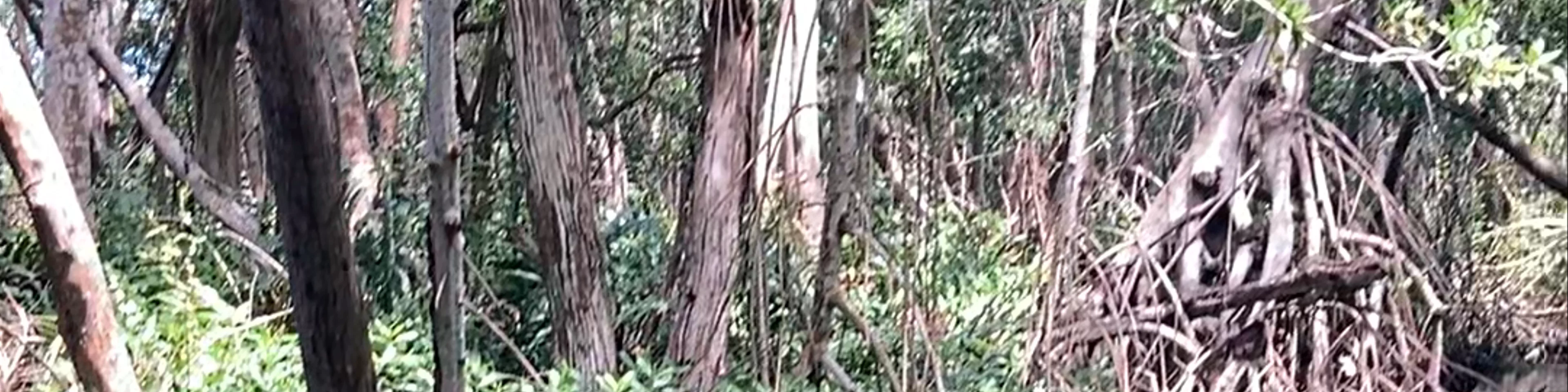 JALTUN PARQUE ECOTURISTICO