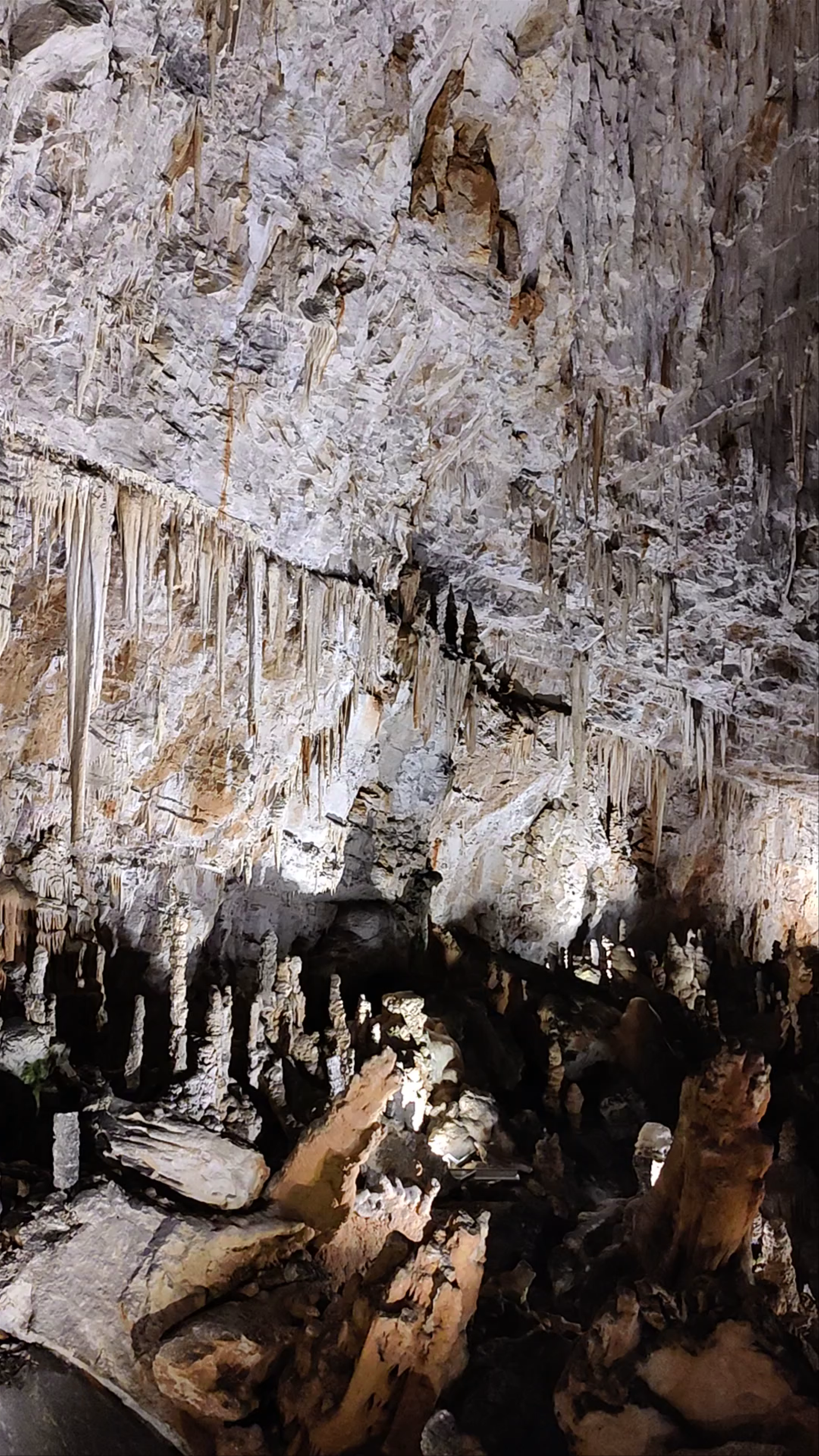 Grotta Gigante