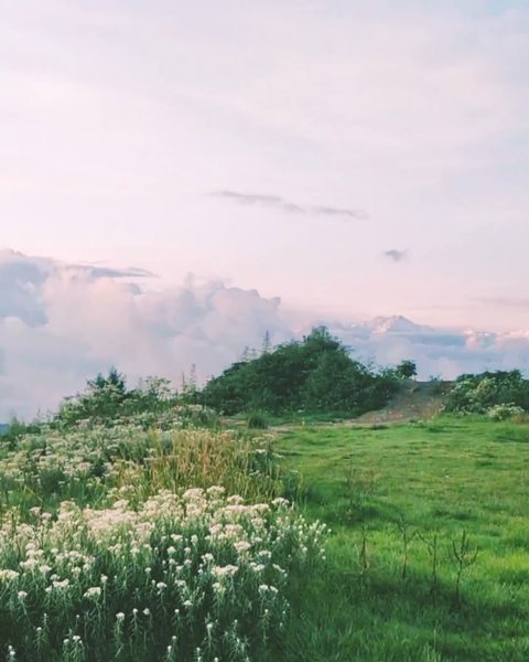 Photo of Darjeeling Diaries