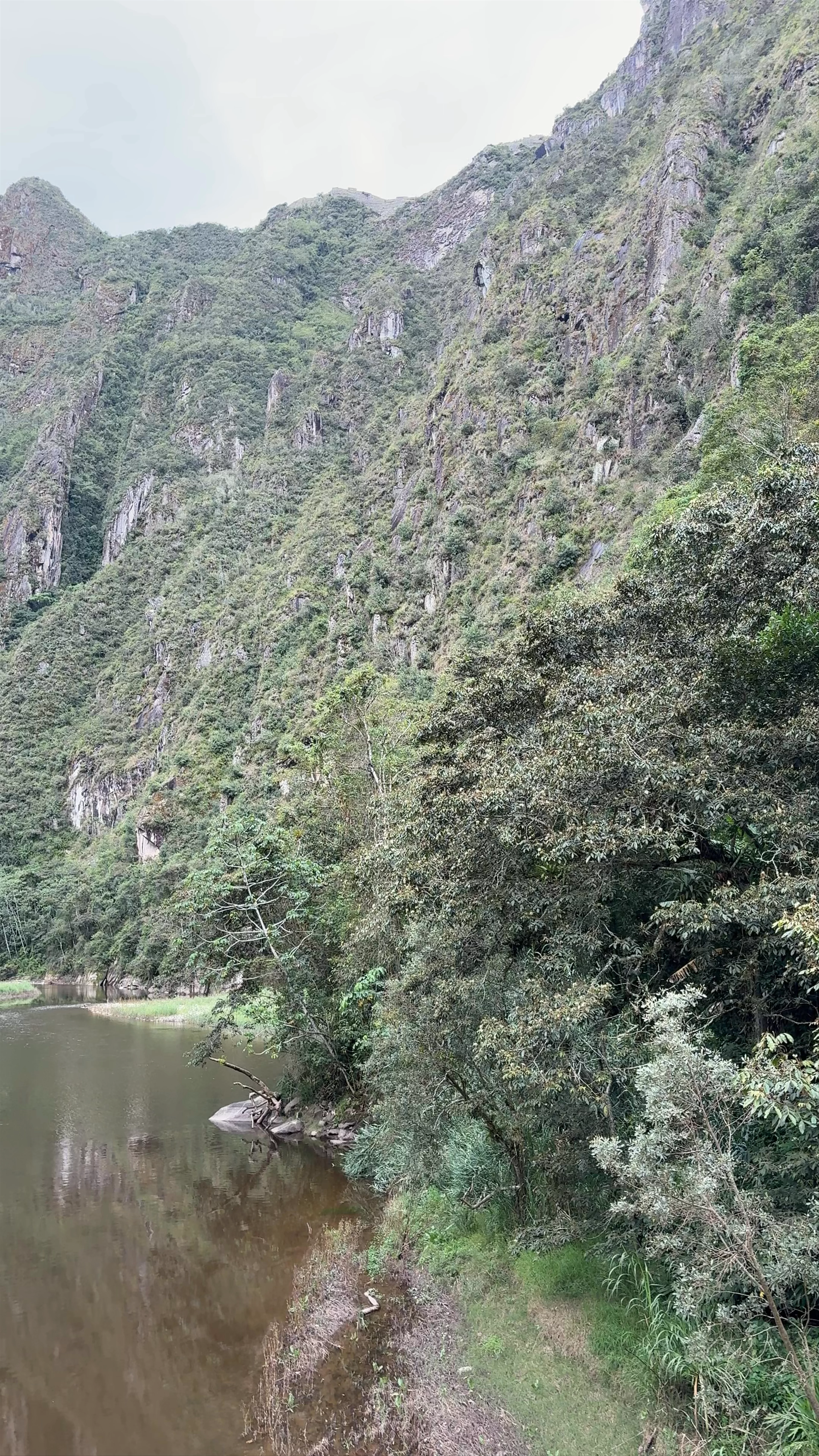 Camino Hidroeléctrica