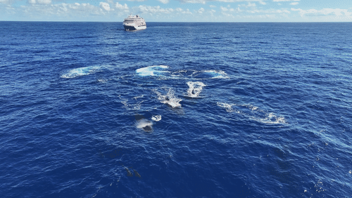 Untitled Work animated gif