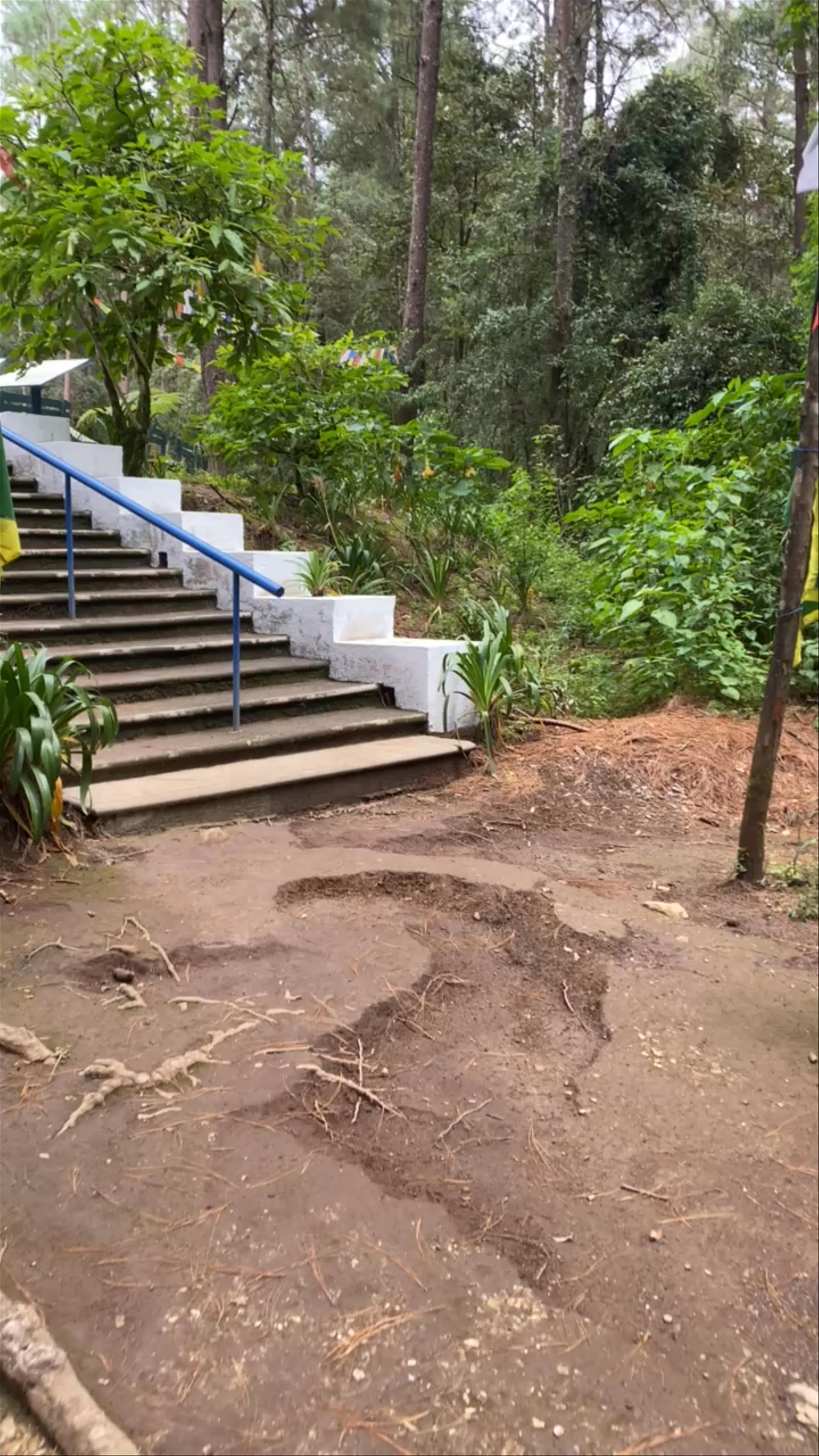 Great Stupa Valle de Bravo