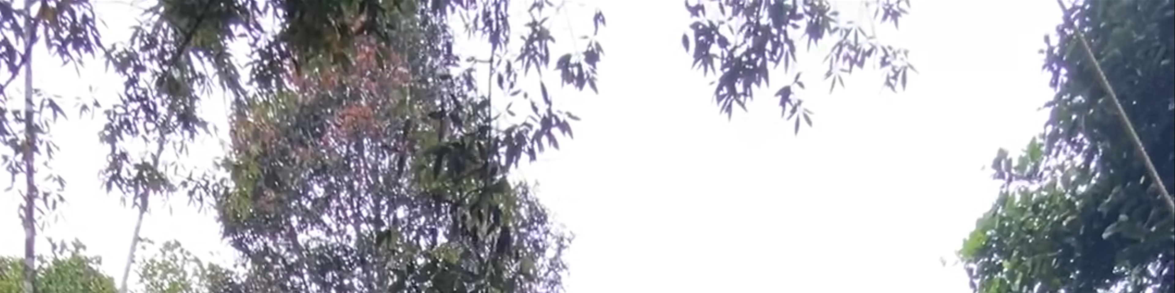 Kerala