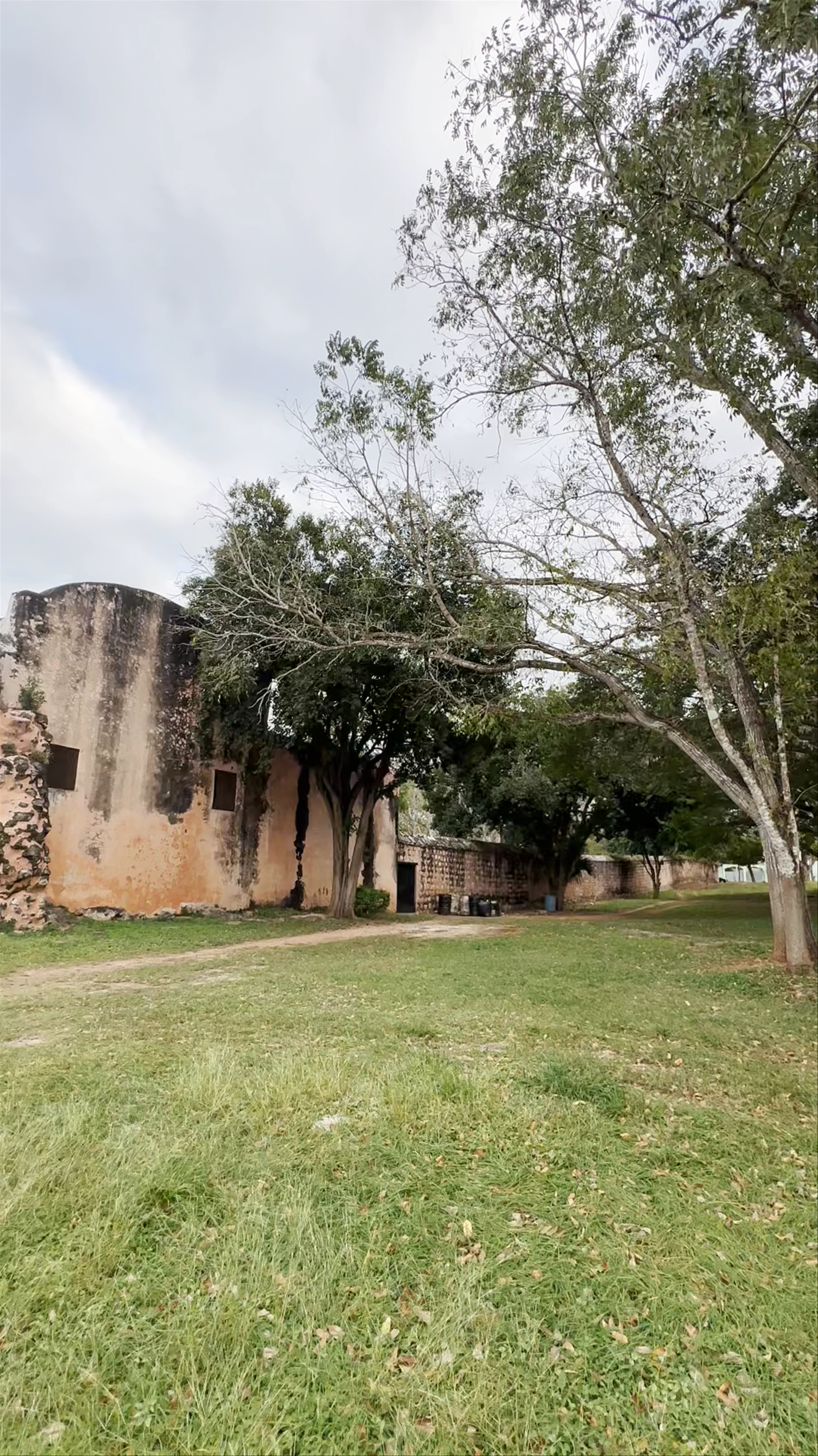 Parque de Sisal