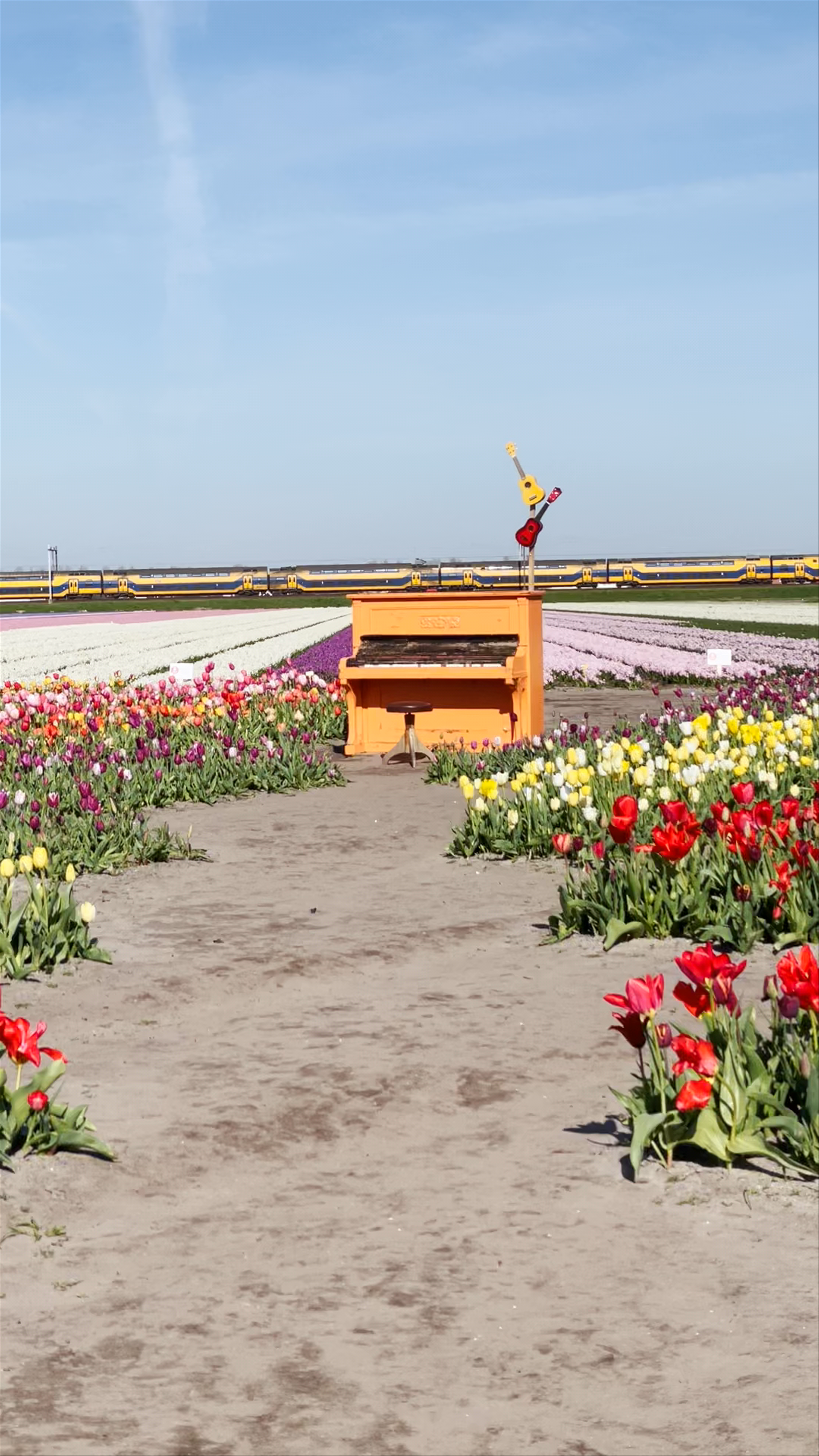 The Tulip Barn