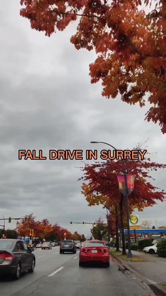 Photo of Fall Drive in Surrey