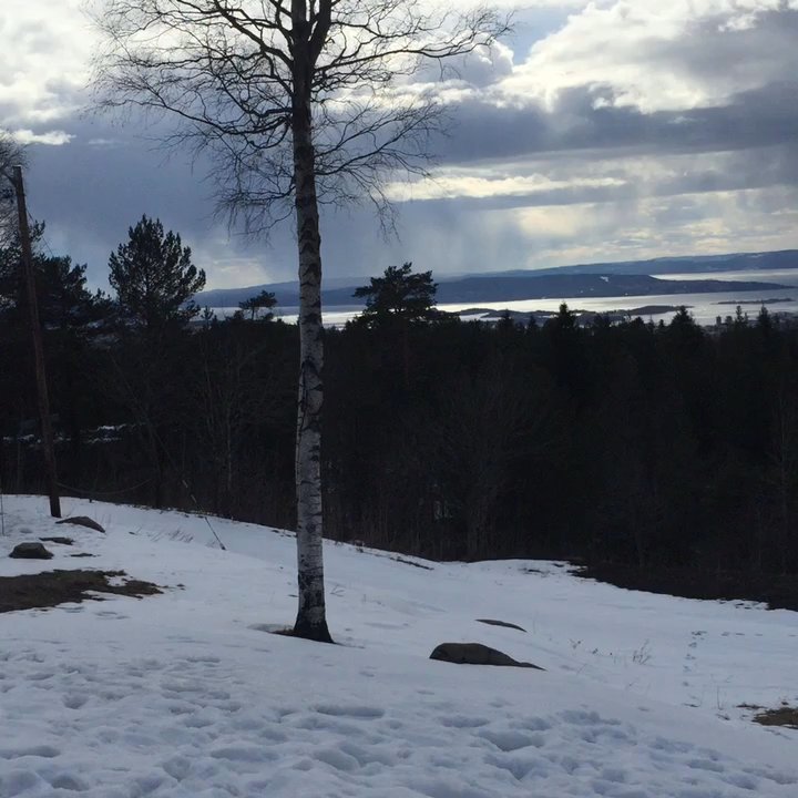 Grefsenkollen - Hiking Near Me - Oslo, 03
