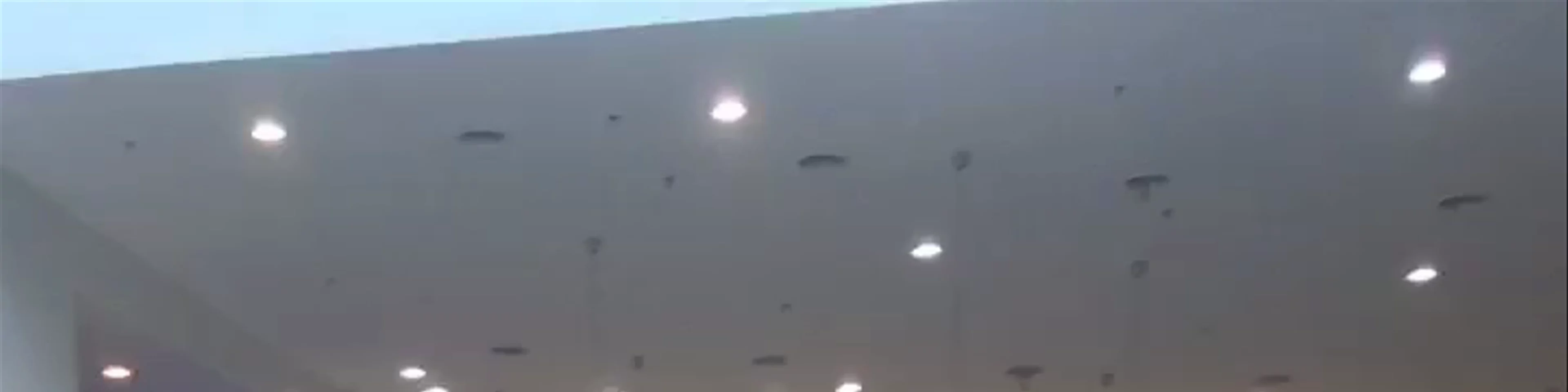 Dino Gym