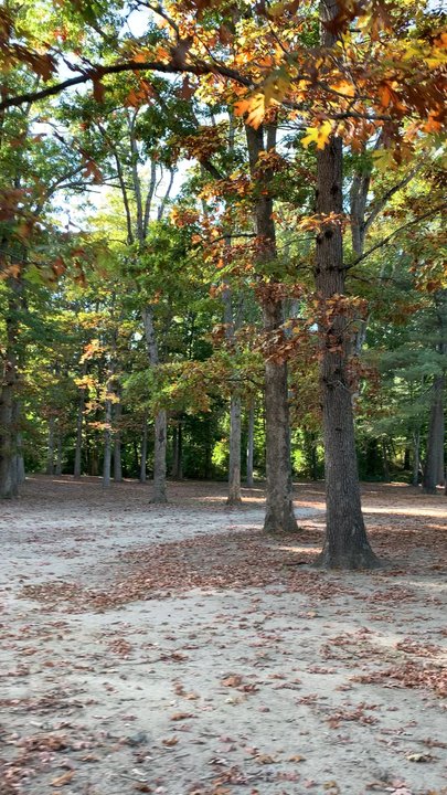 Goddard Memorial State Park - Views - Beaches Near Me - Warwick, Rhode Island