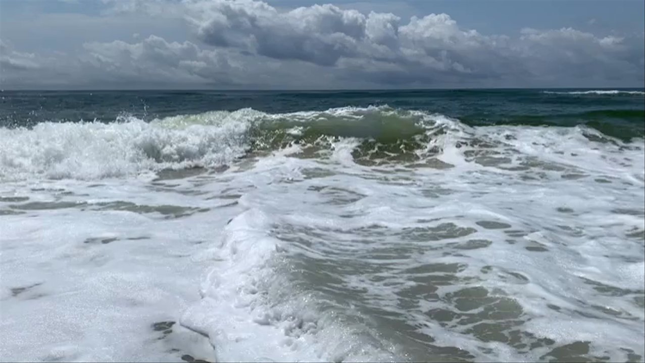 Alabama Point - Beaches Near Me - Orange Beach, Alabama
