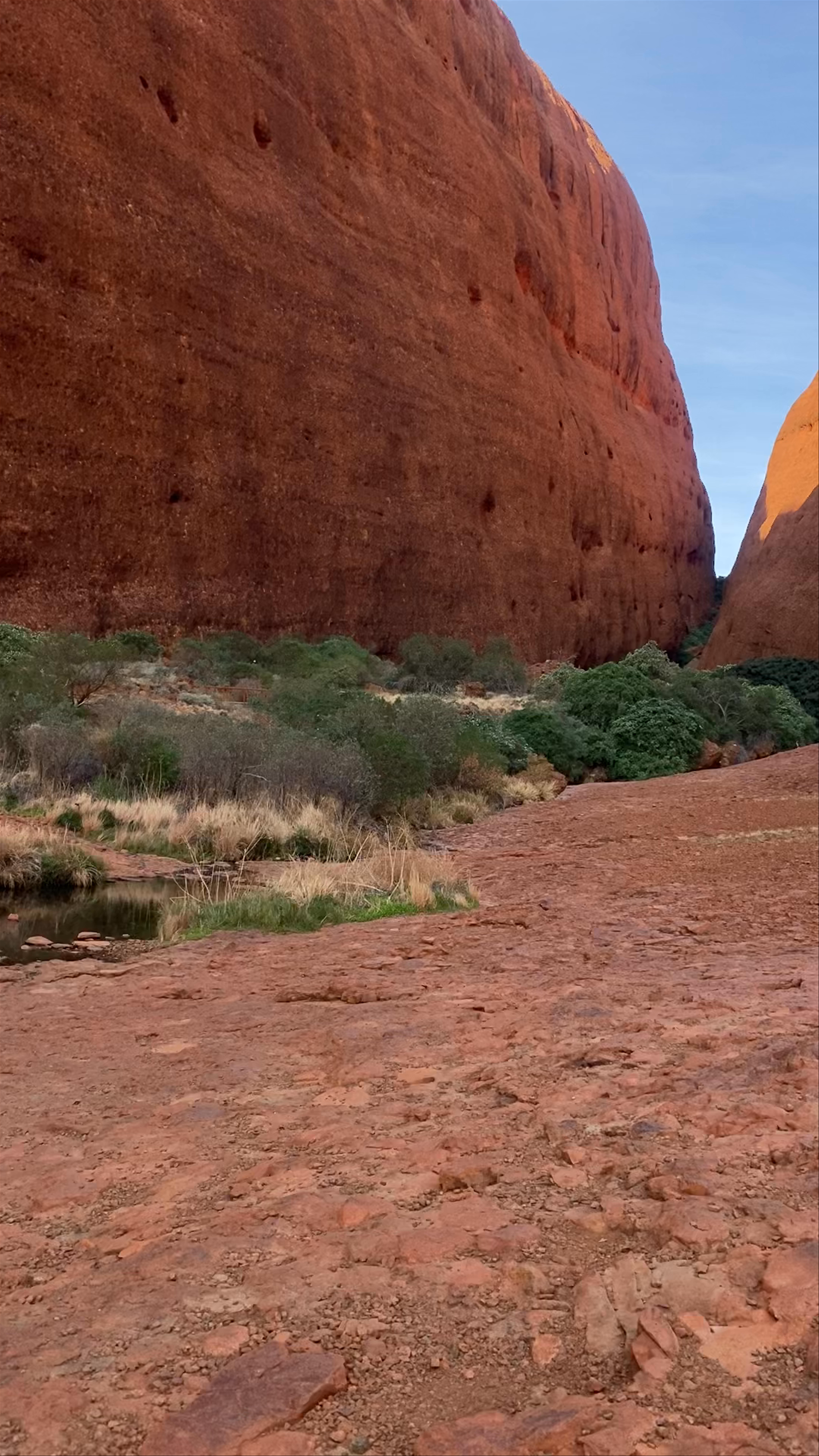 Walpa Gorge