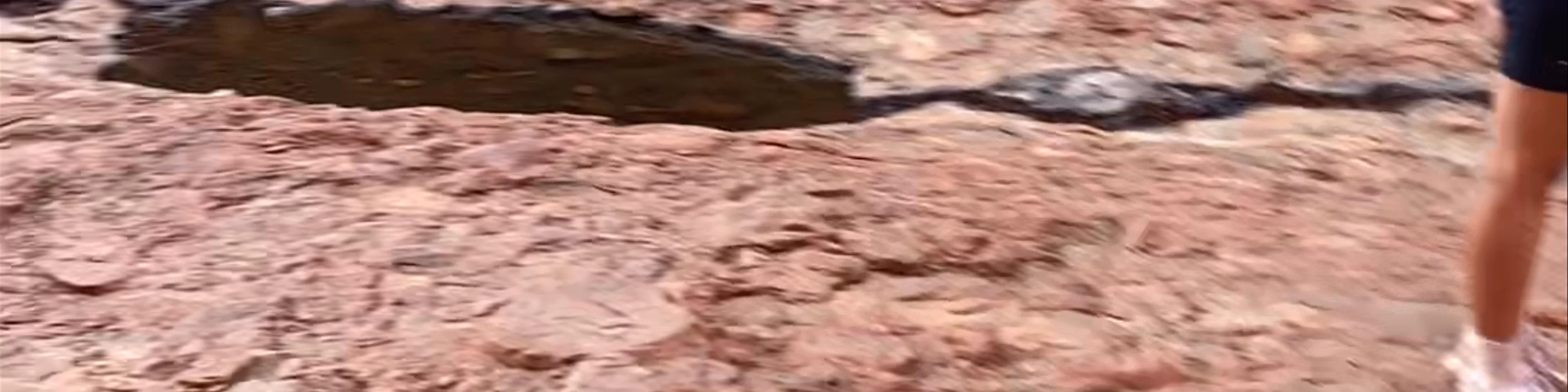 Walpa Gorge
