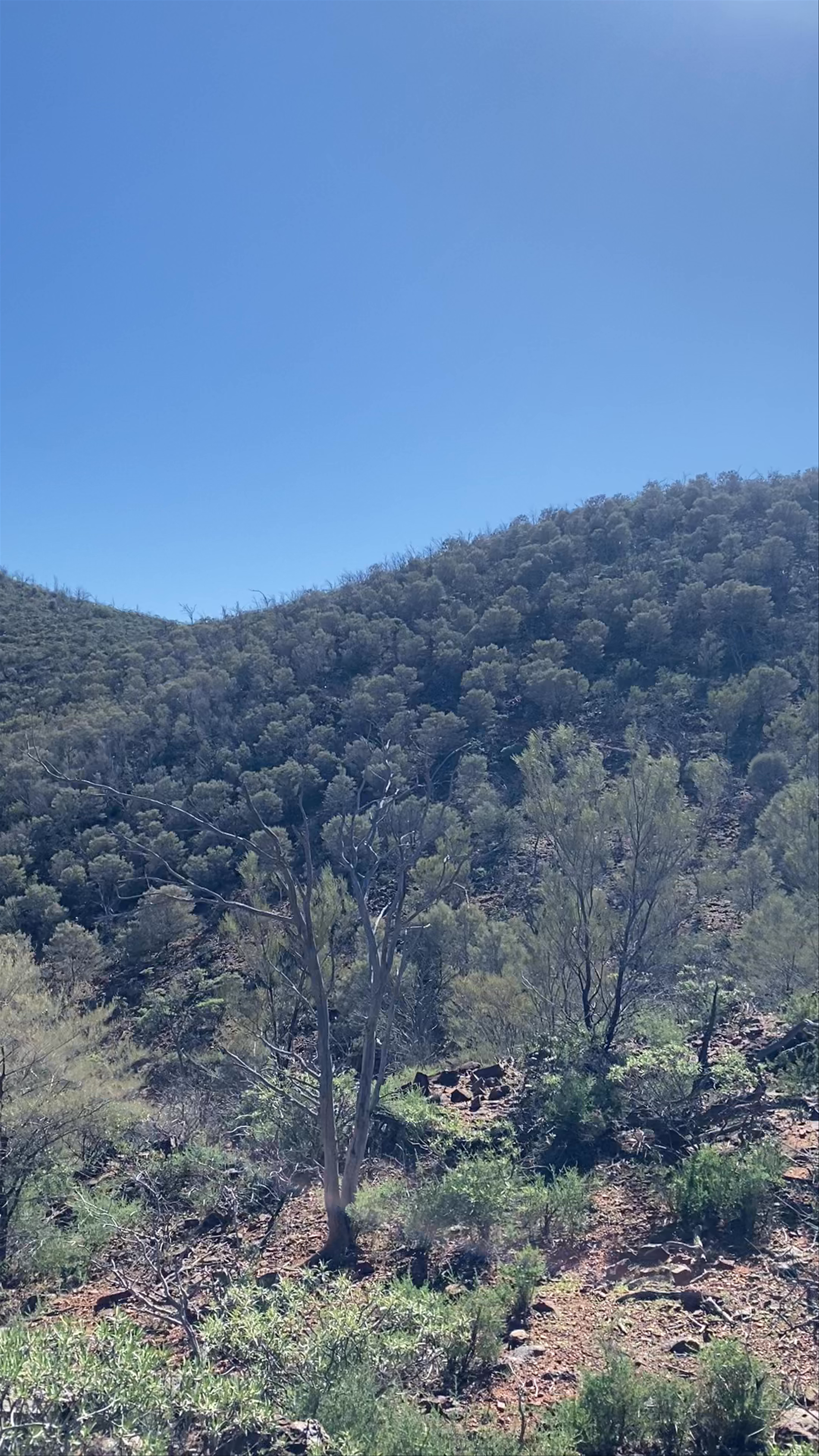 Arkaroola Wilderness Sanctuary