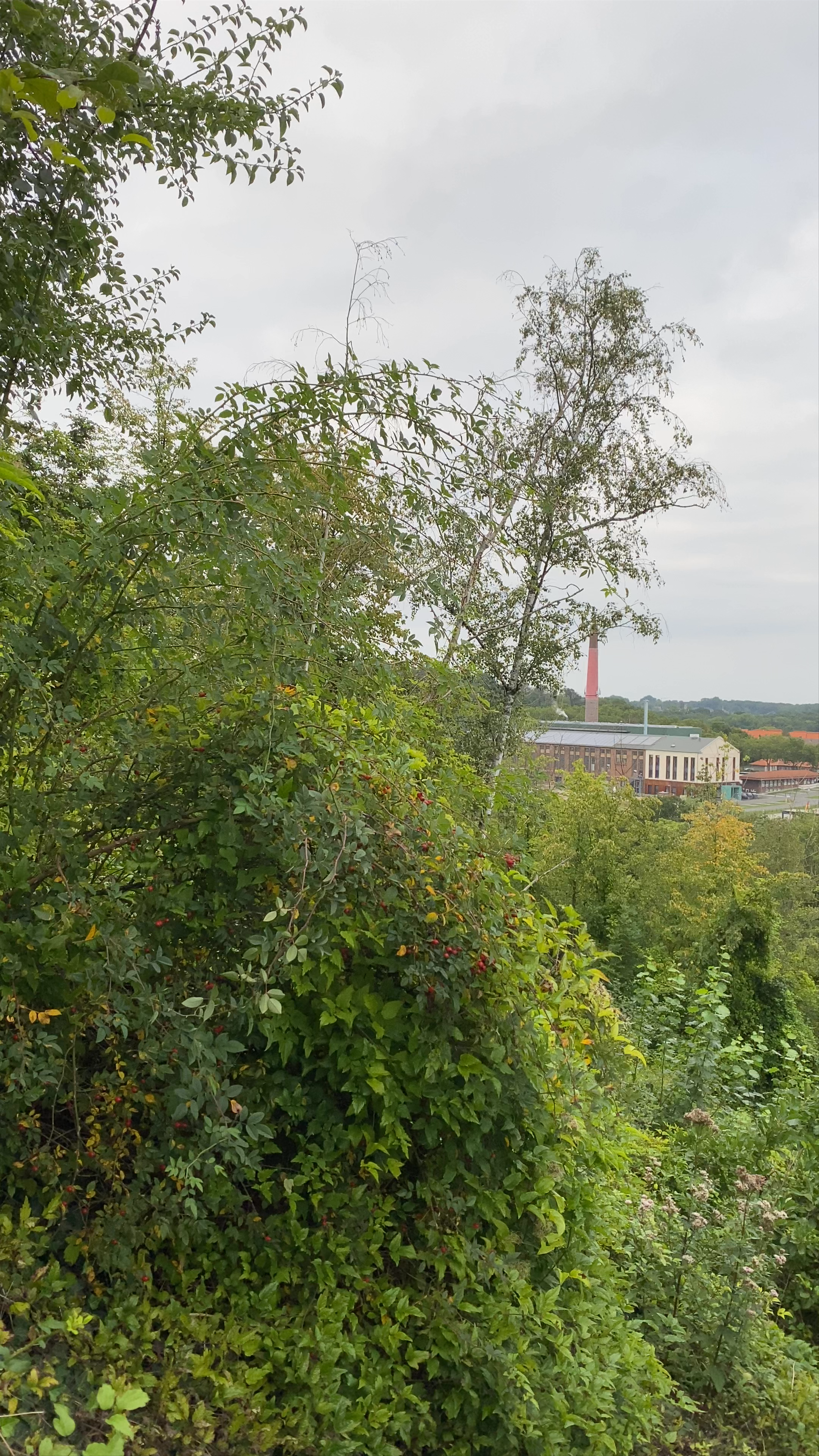 Colliery Sophia Jacoba Schacht 3