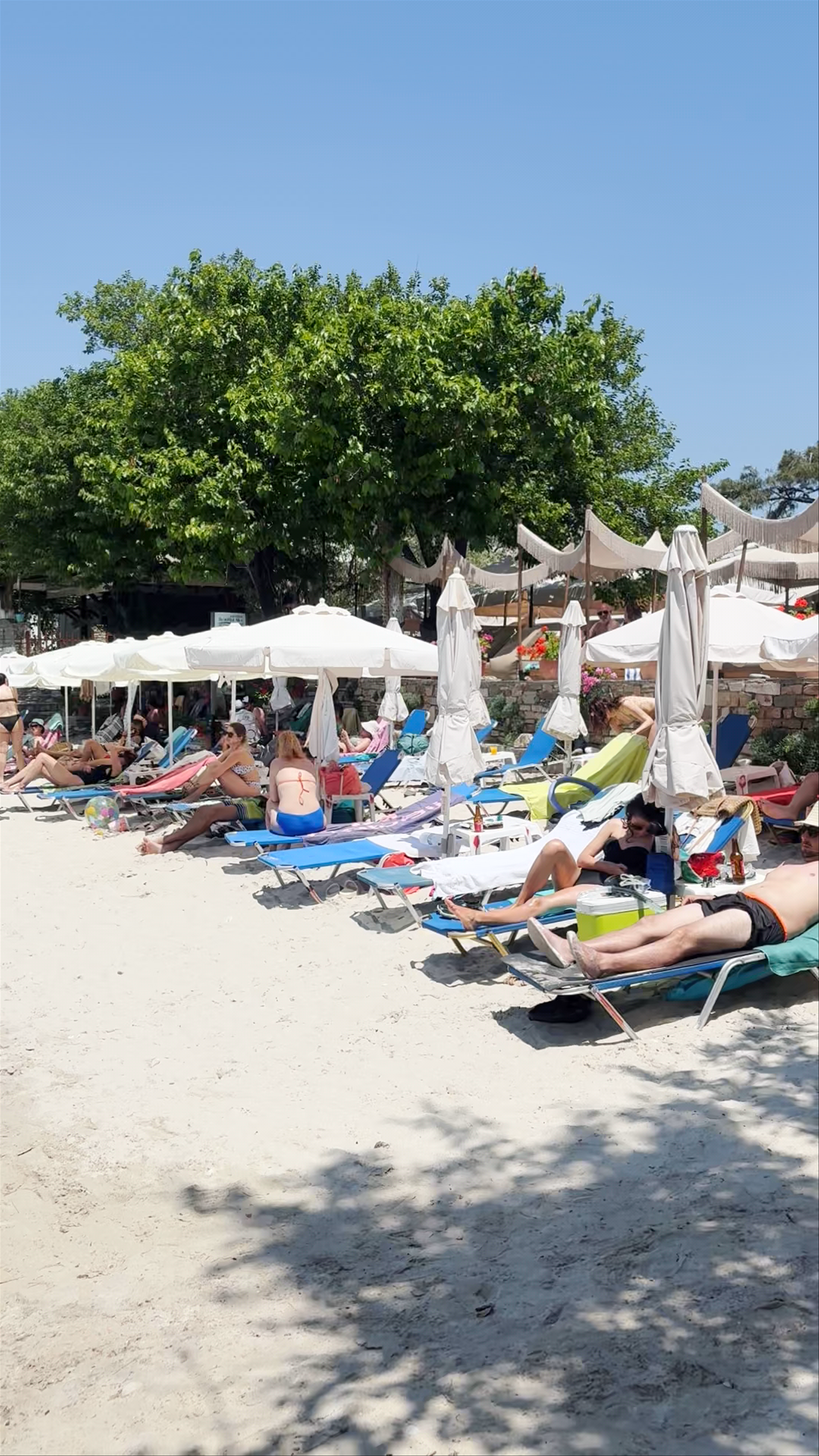Aliki Beach