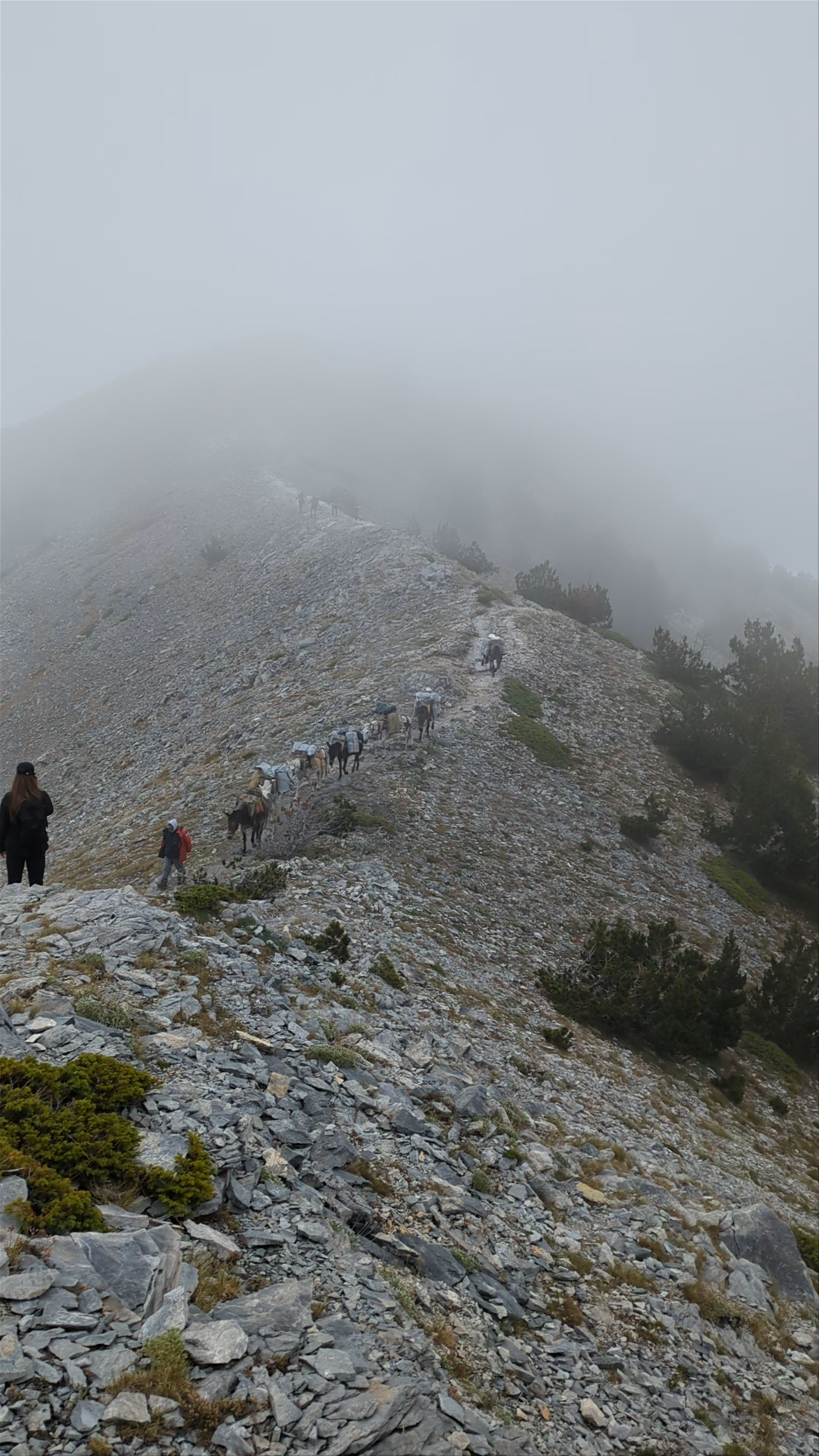 Κορυφή Σκούρτα 2476.36 μ.