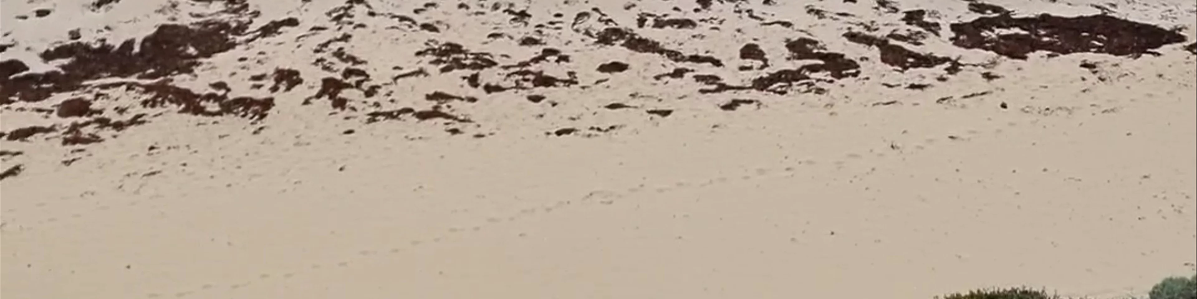 Injidup Beach